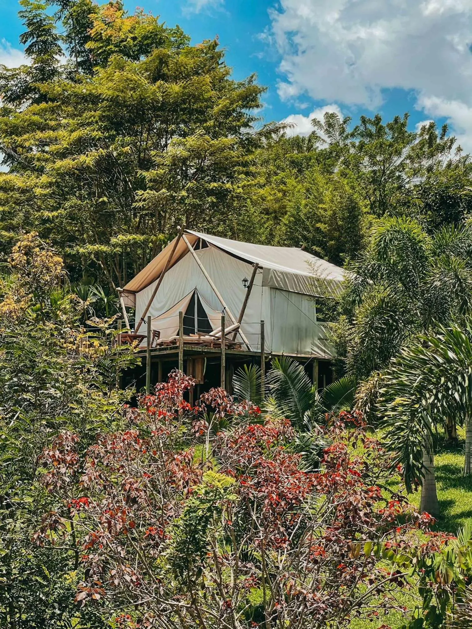 Garden in Glamping Entre Rios