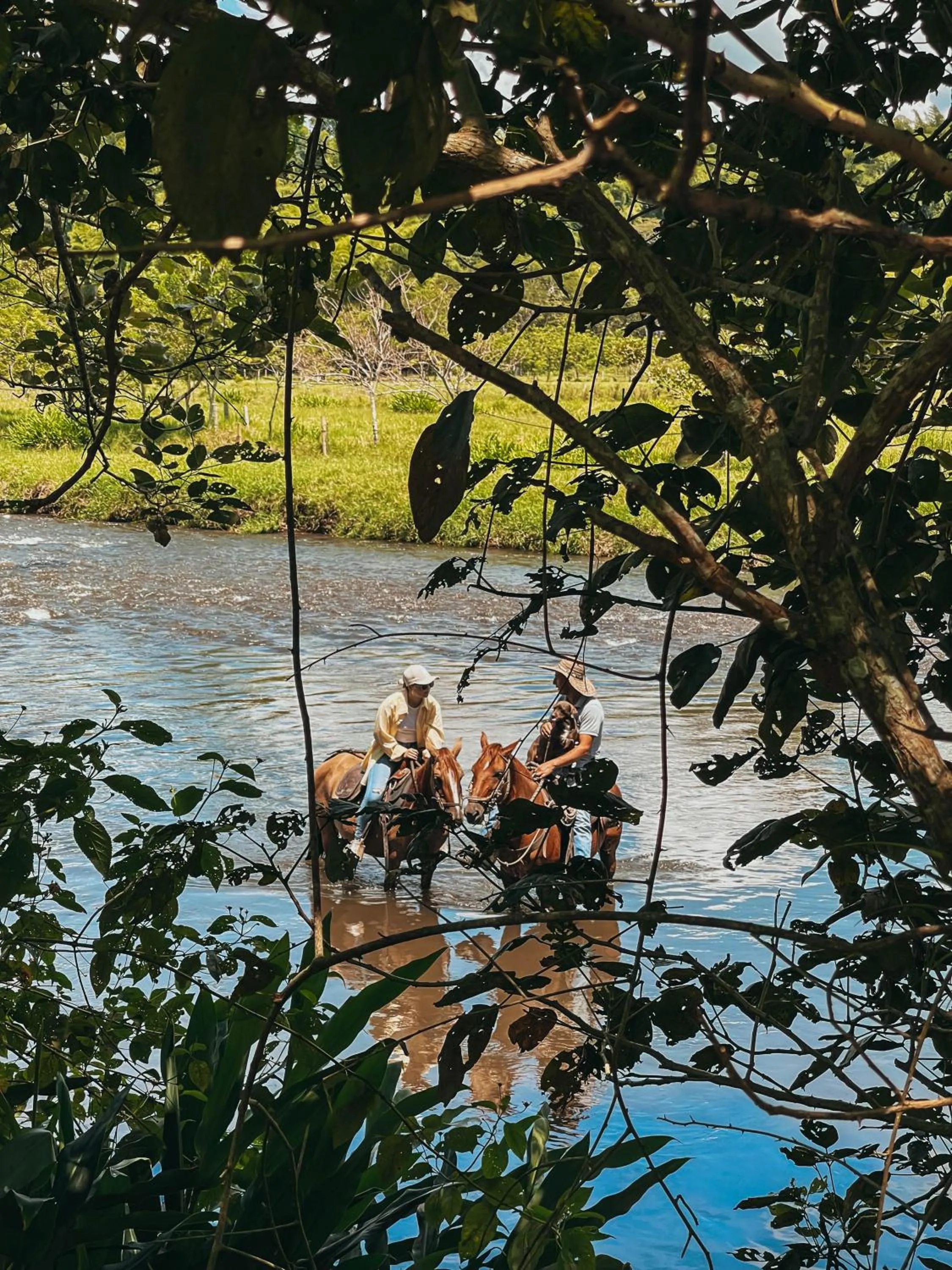 Horse-riding in Glamping Entre Rios
