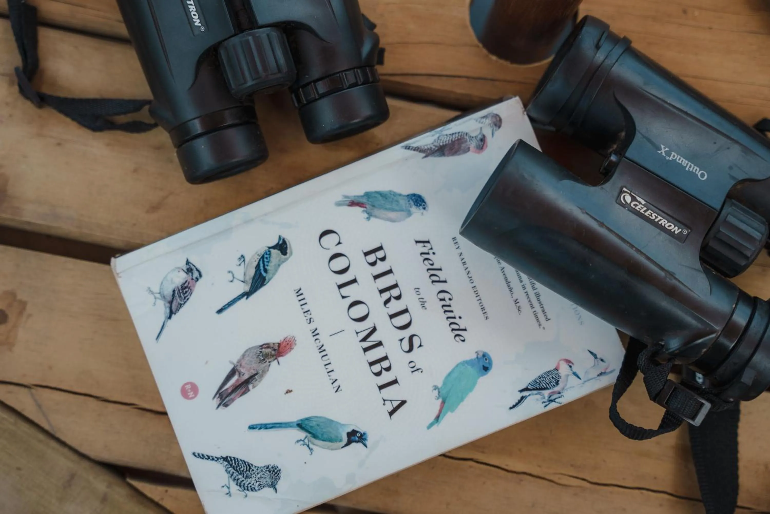 Library in Glamping Entre Rios