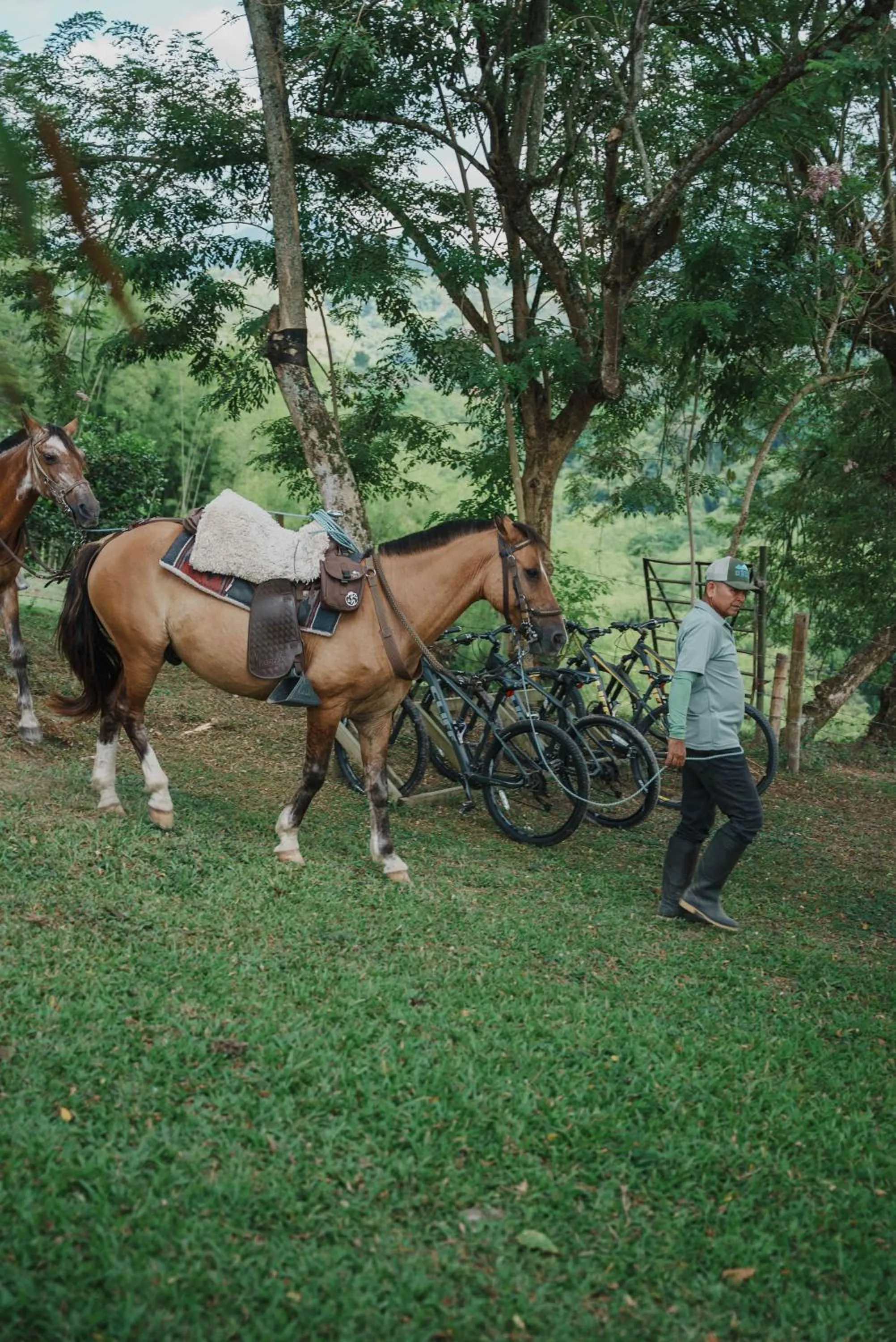 Animals in Glamping Entre Rios