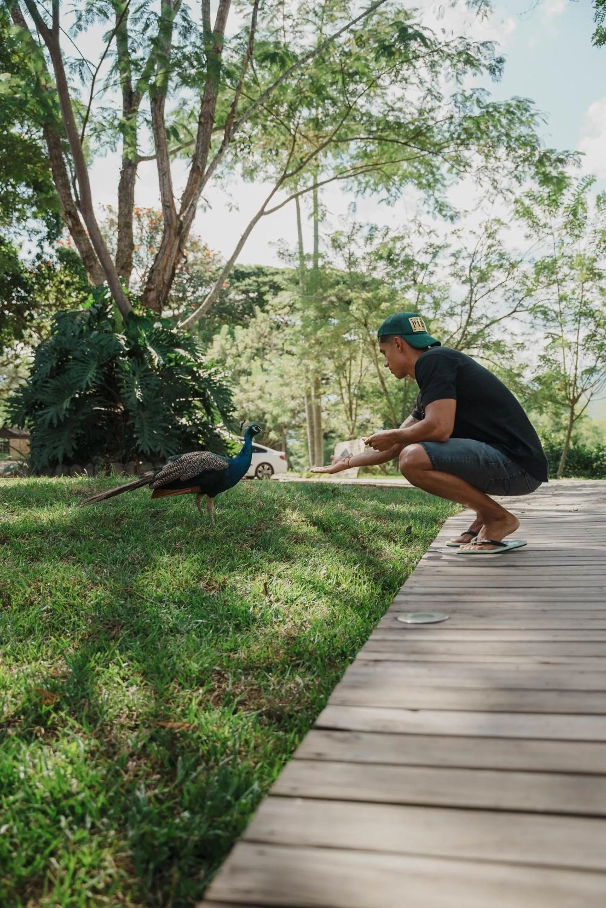 Natural landscape in Glamping Entre Rios