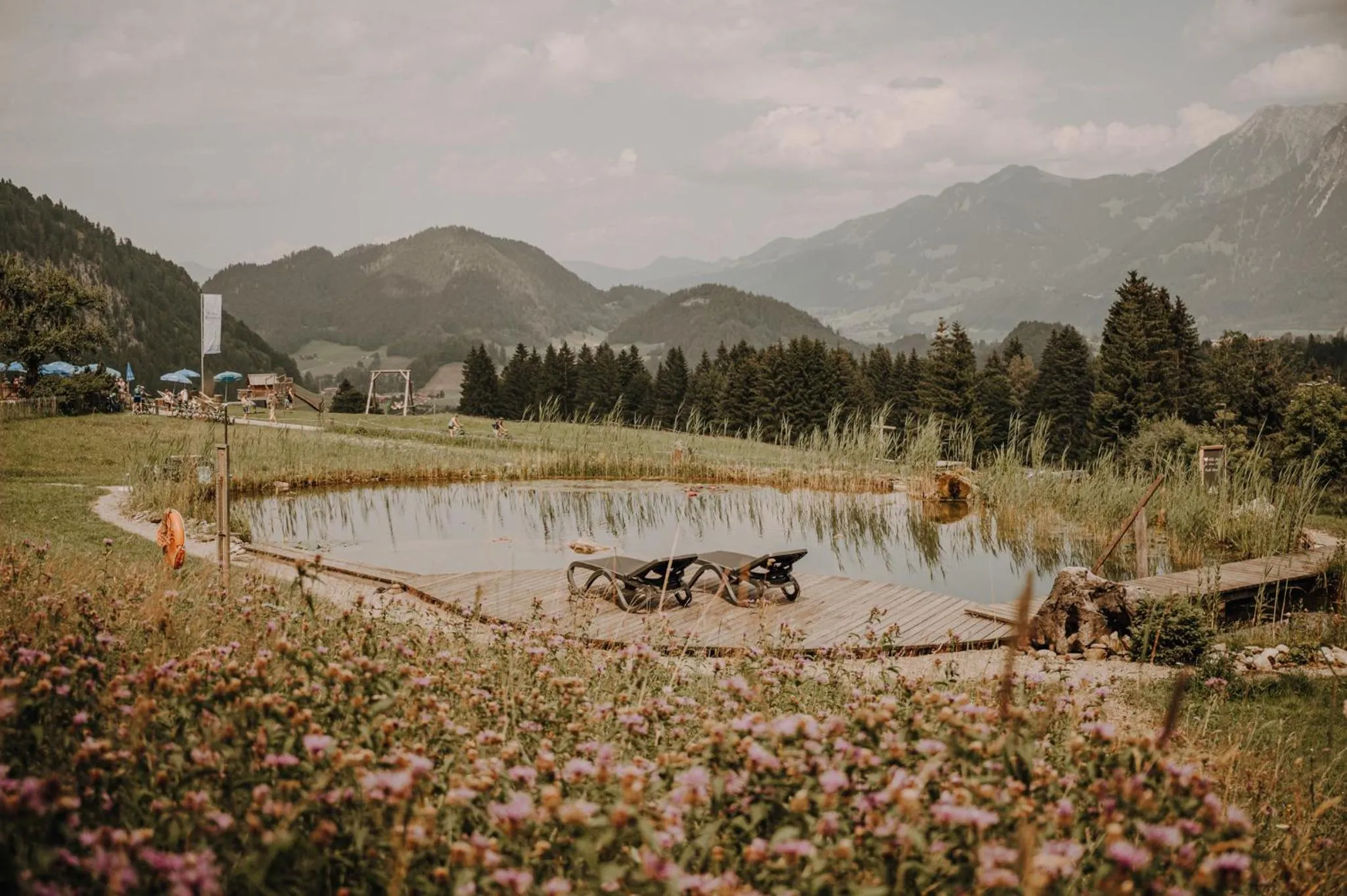 Garden in Alpe Dornach