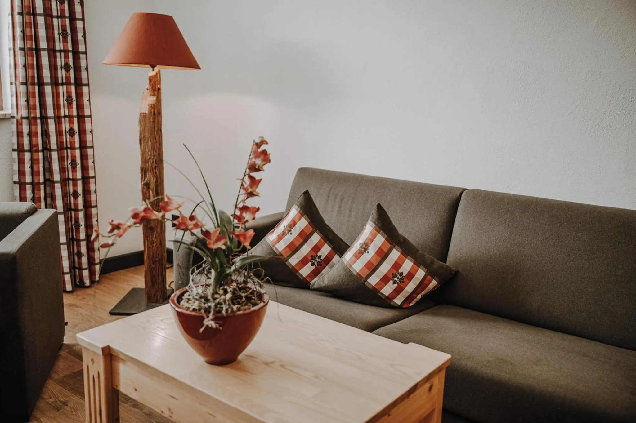 Living room in Alpe Dornach