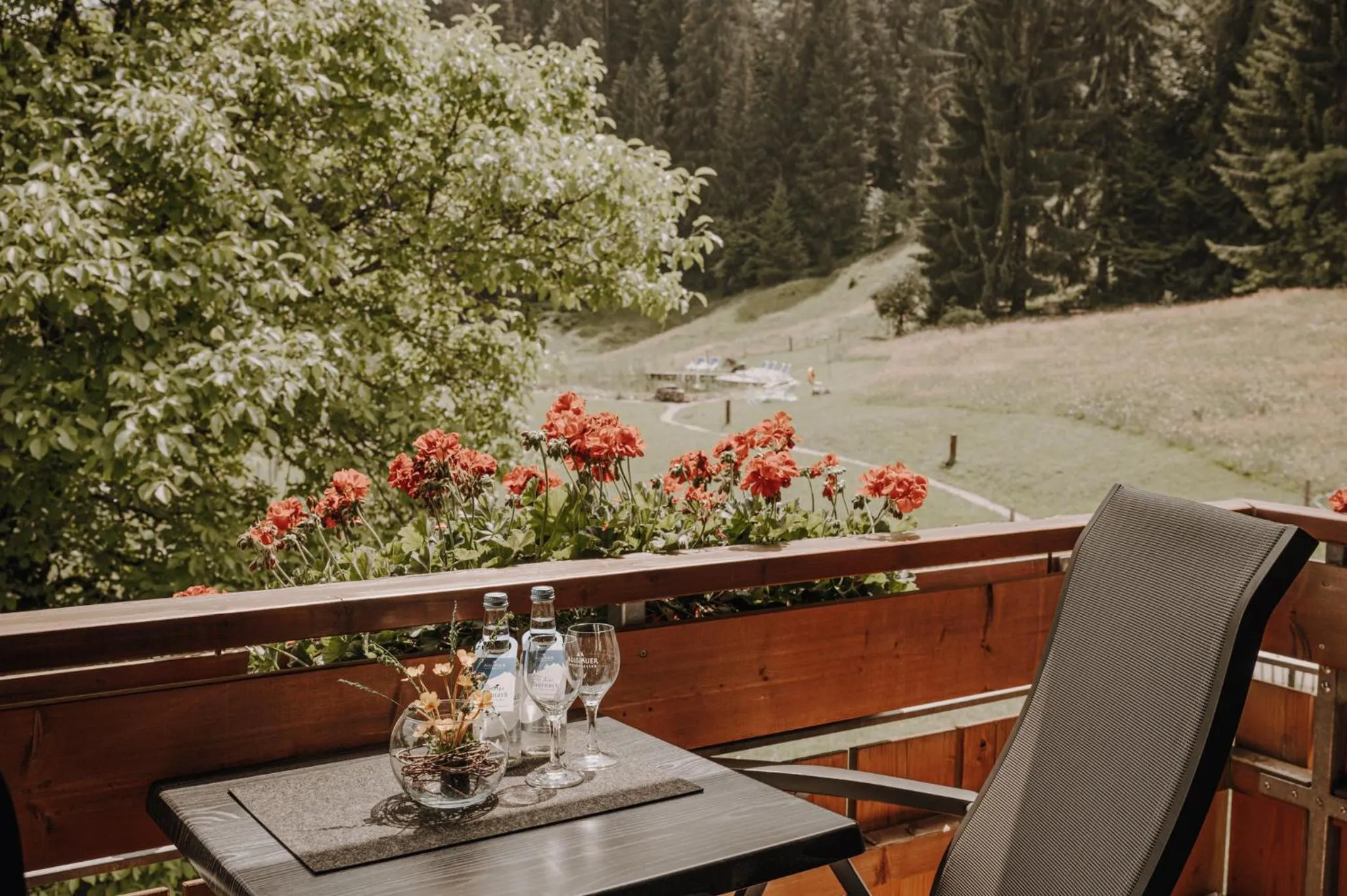 View (from property/room) in Alpe Dornach