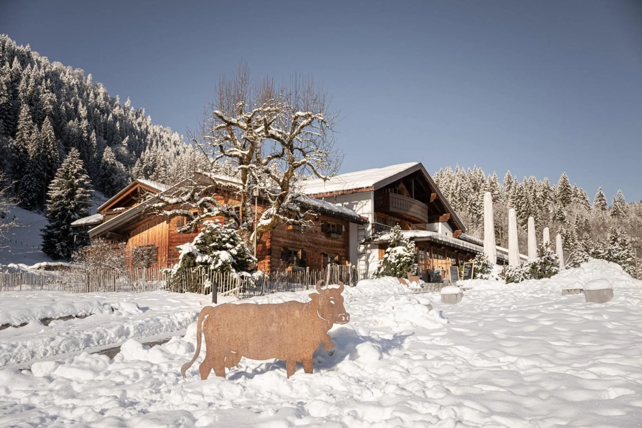 Property building in Alpe Dornach