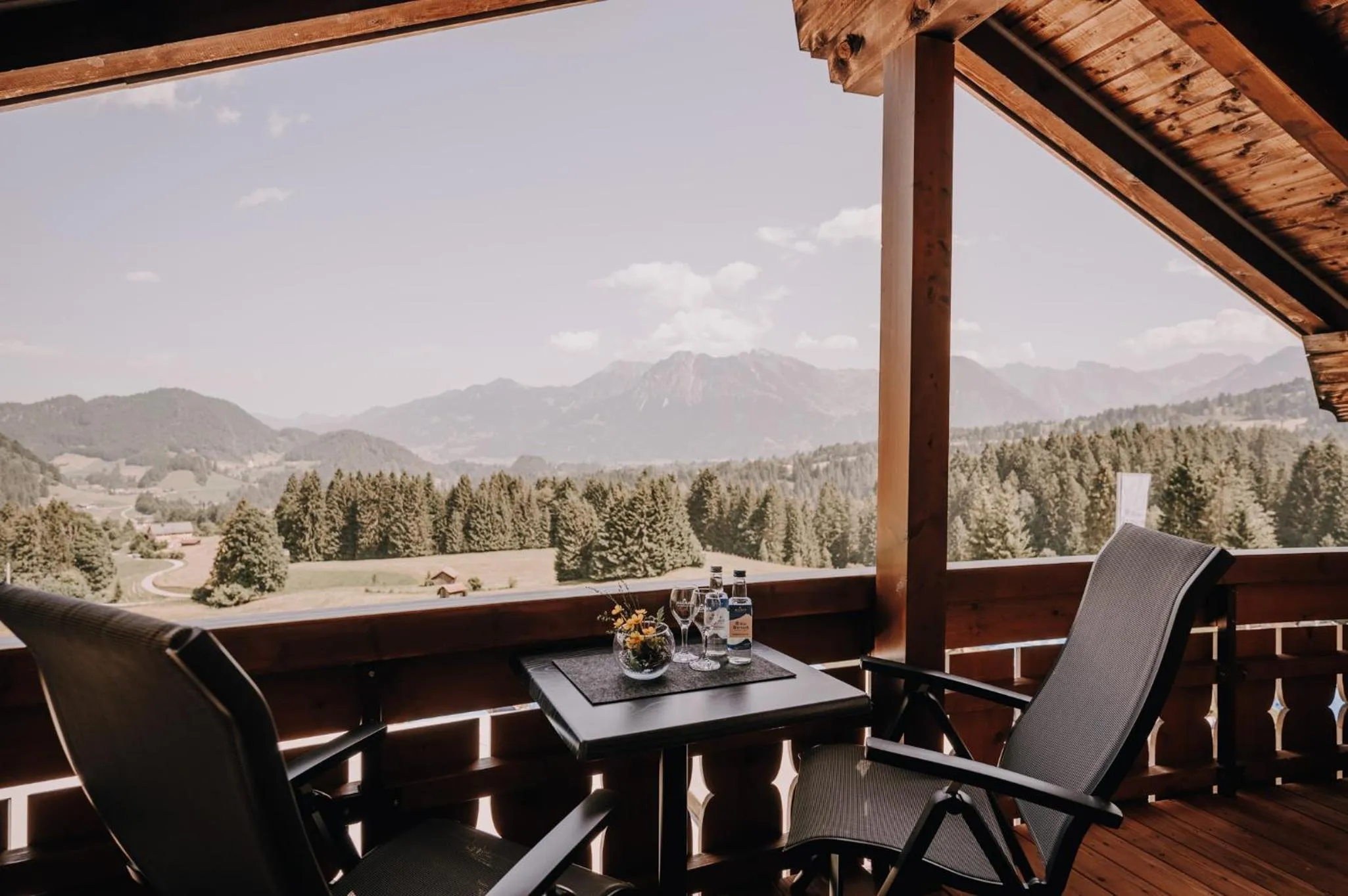 View (from property/room) in Alpe Dornach
