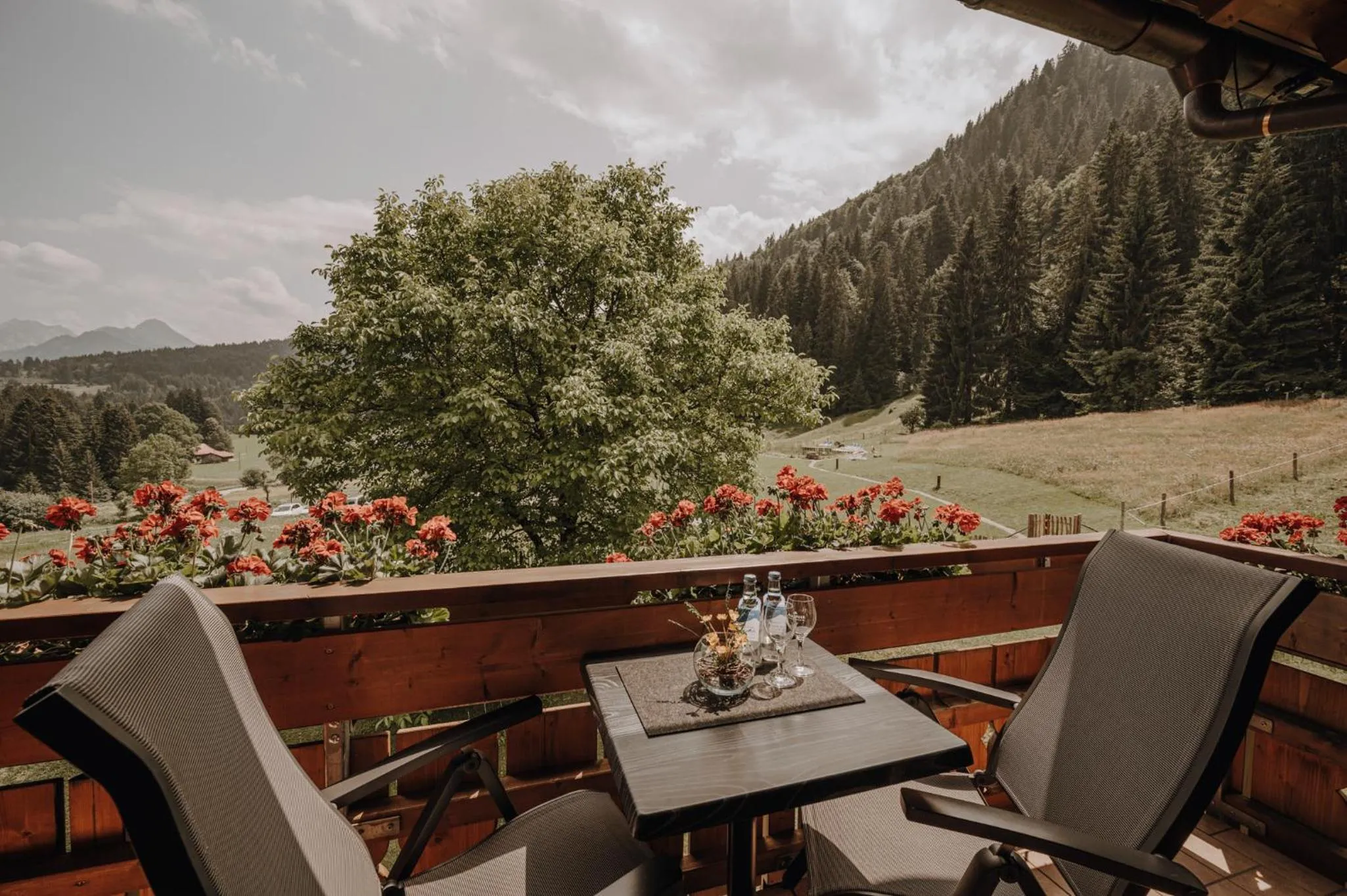 View (from property/room) in Alpe Dornach