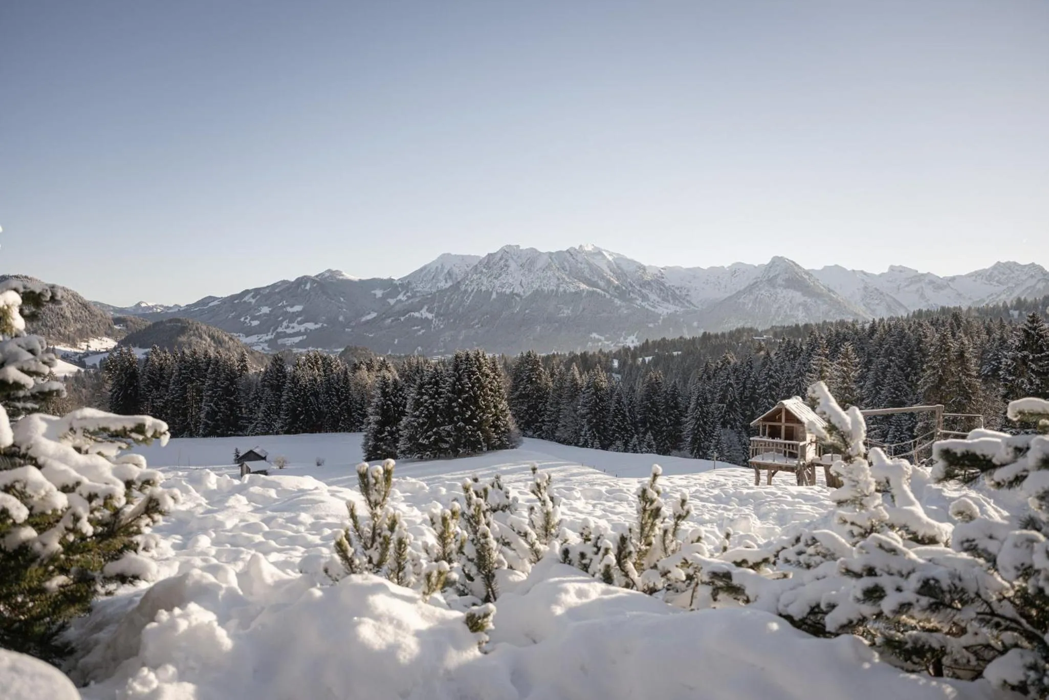 Winter in Alpe Dornach