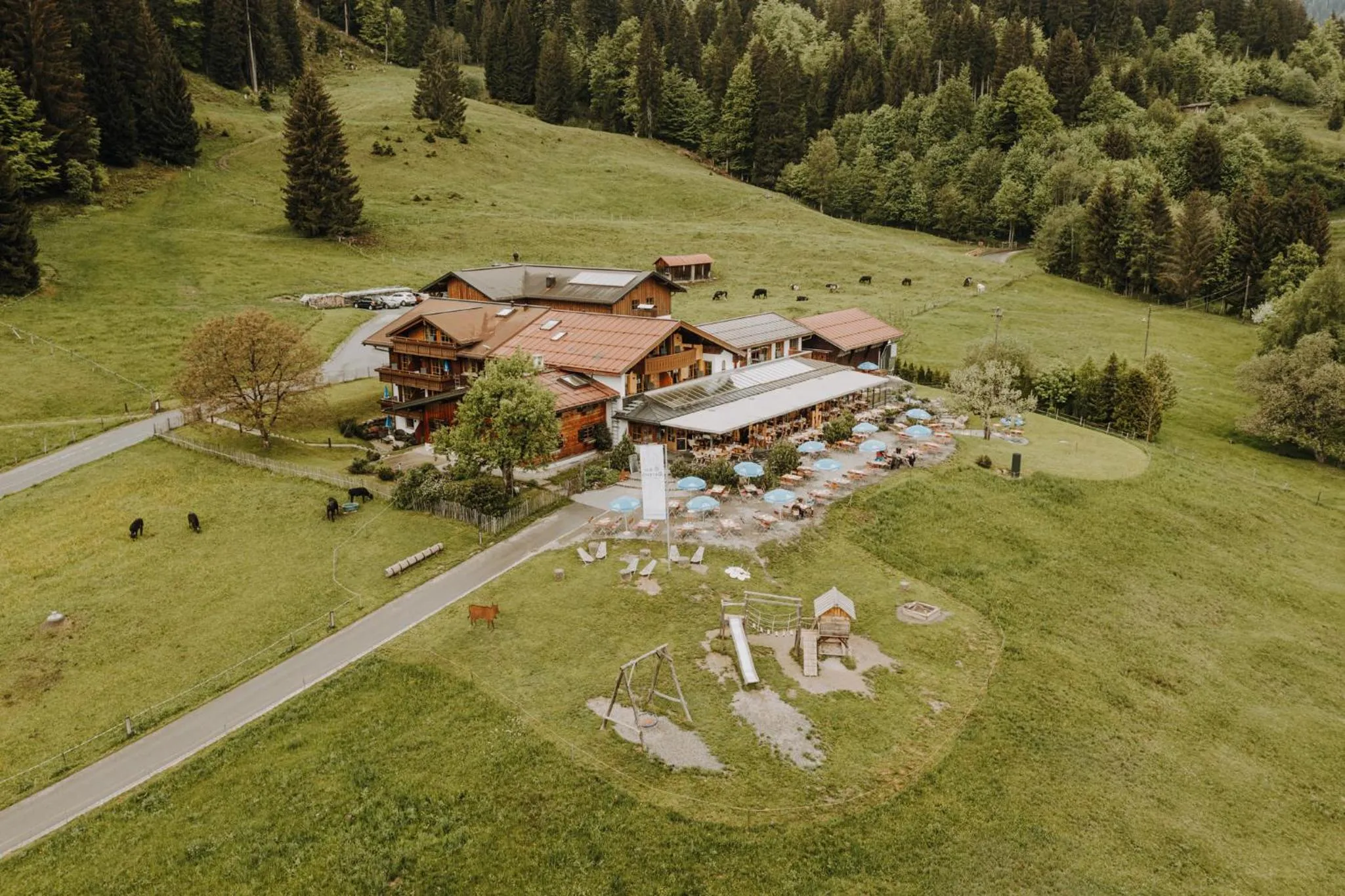 Property building in Alpe Dornach