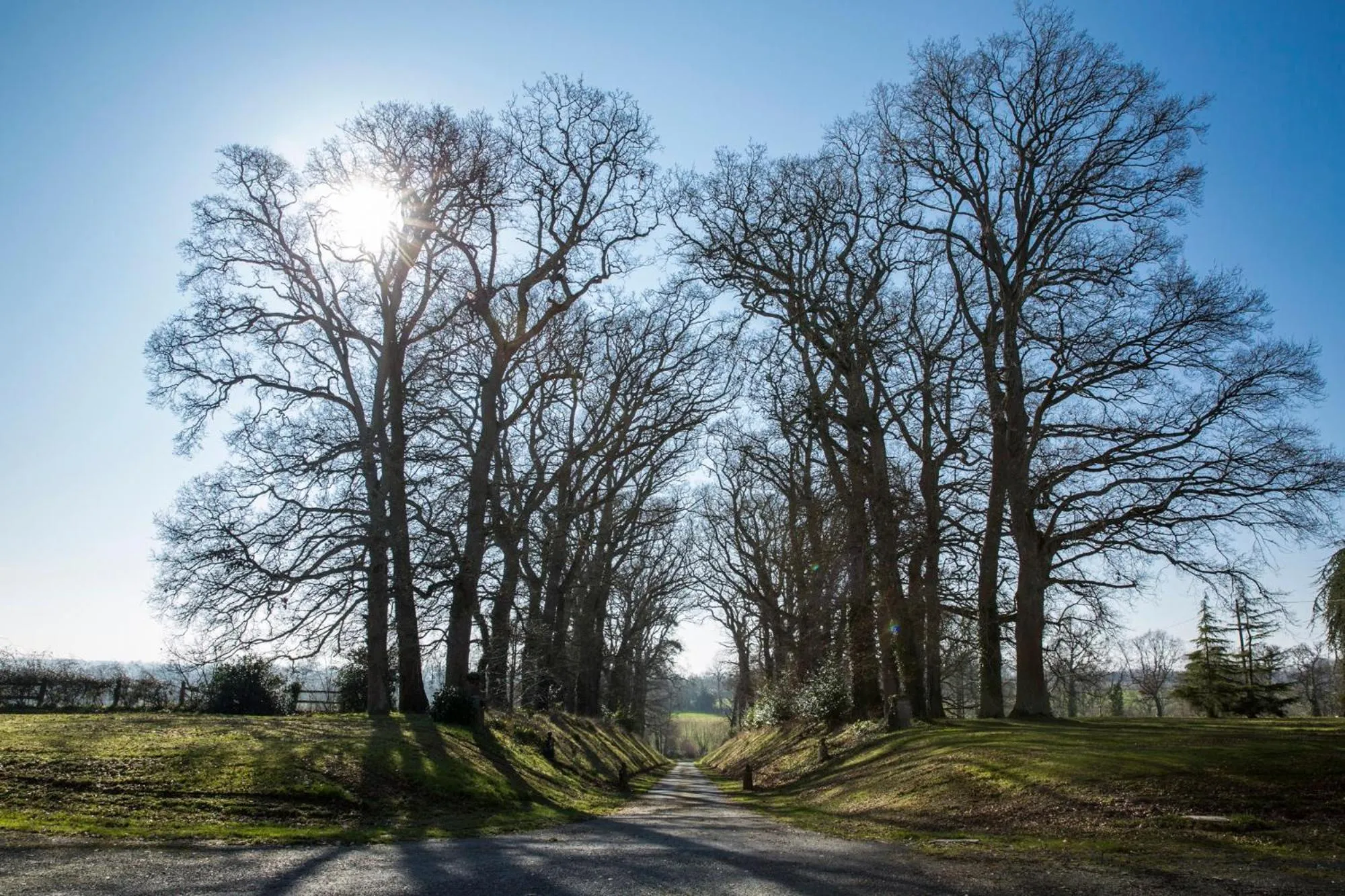 Property building in Chateau des Monts