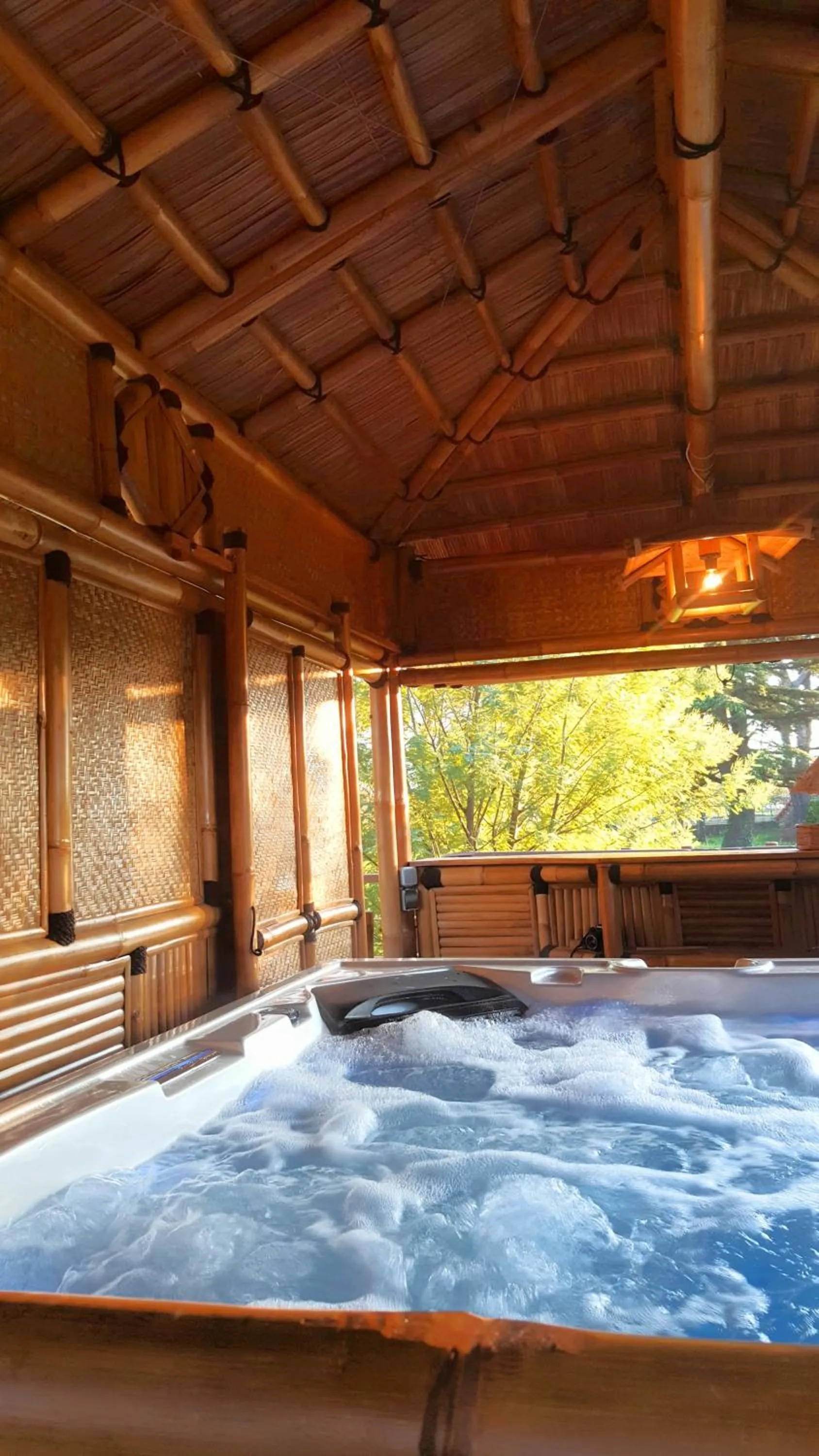 Spa and wellness centre/facilities, Swimming Pool in La Demeure de l'Arche