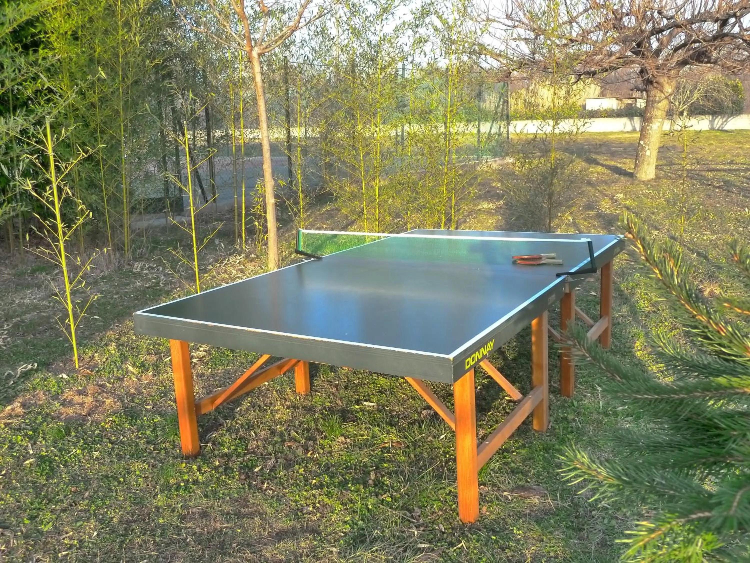 Day, Table Tennis in La Demeure de l'Arche