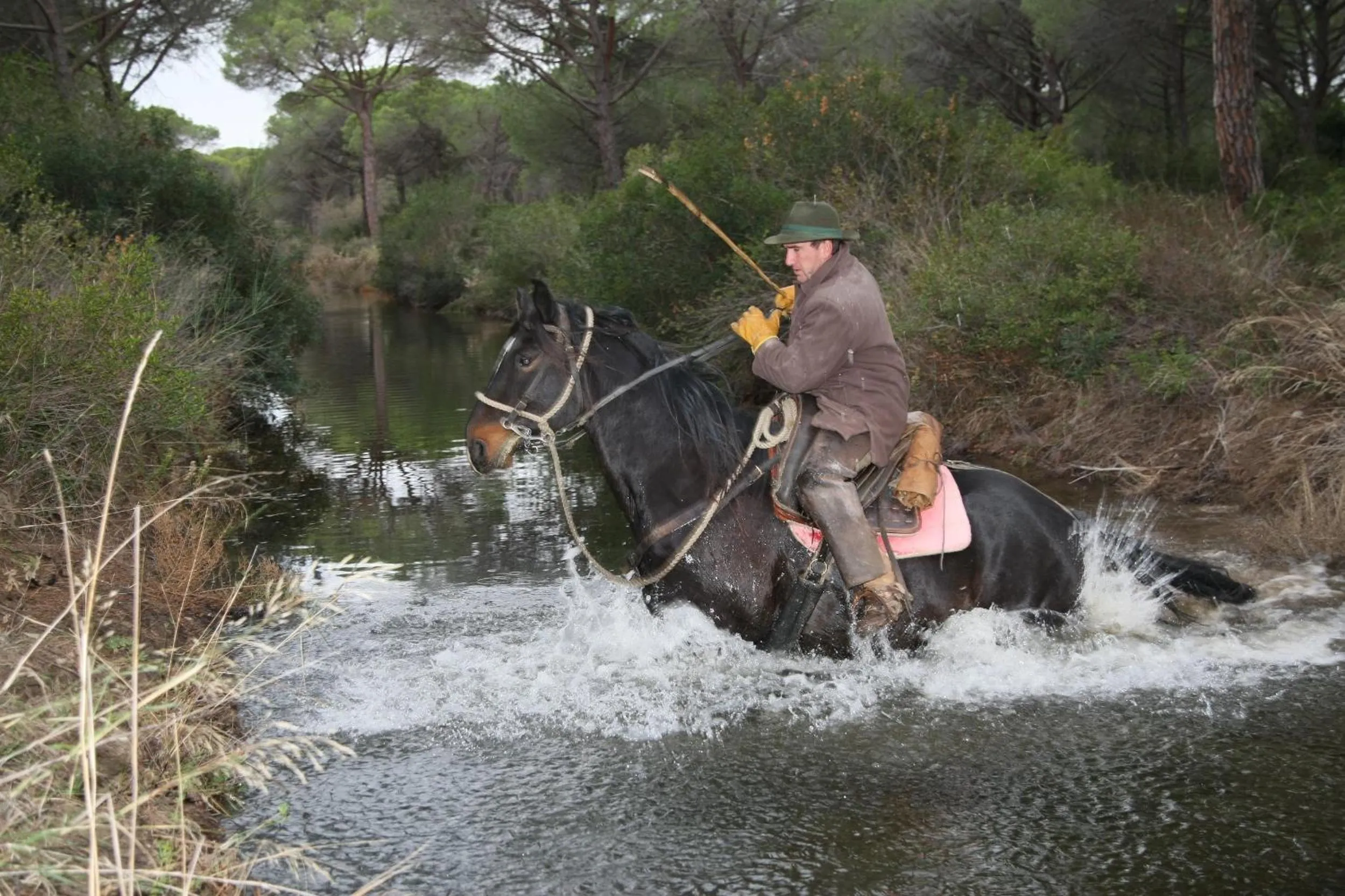 Natural landscape in Country Resort Le Due Ruote