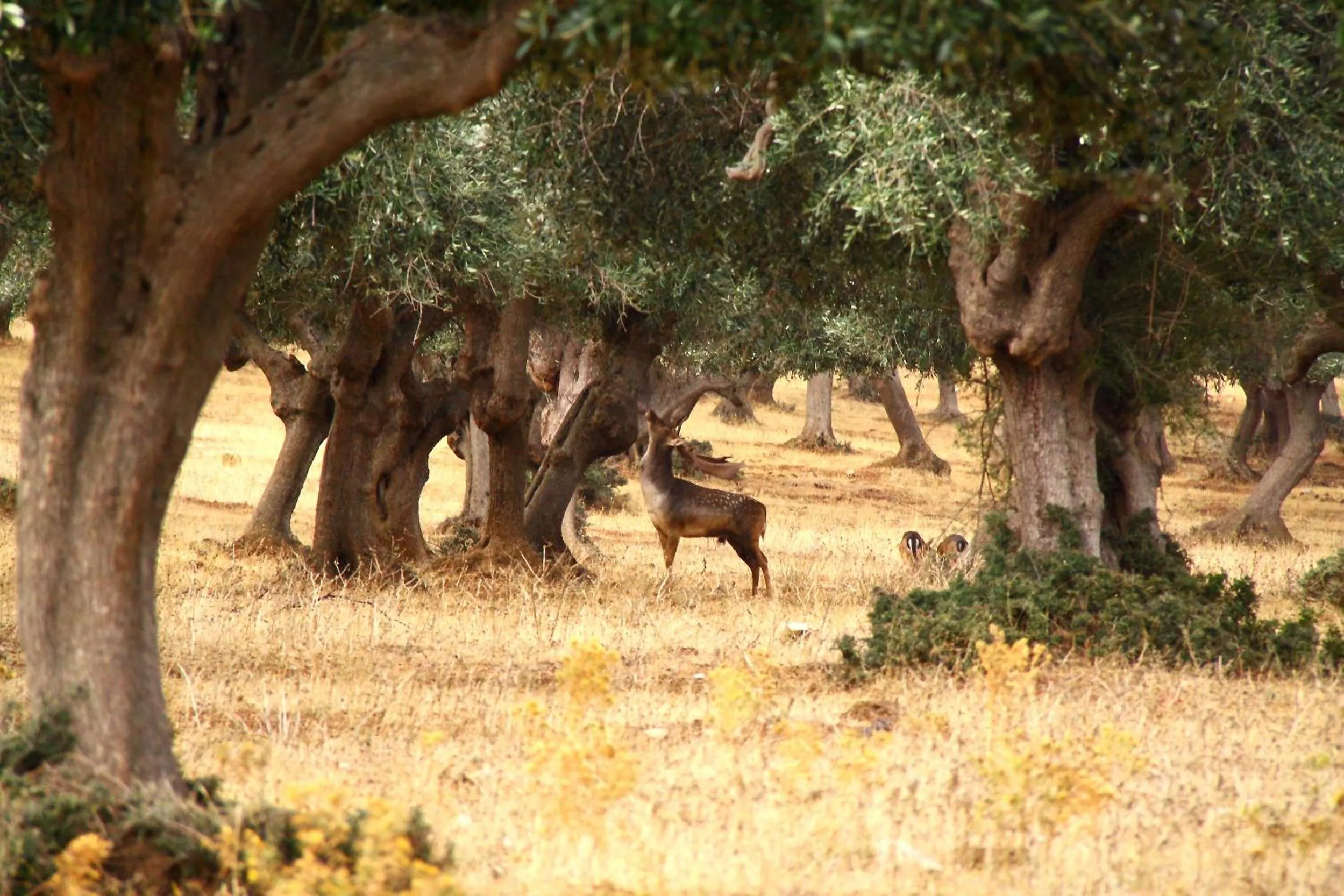 Natural landscape in Country Resort Le Due Ruote