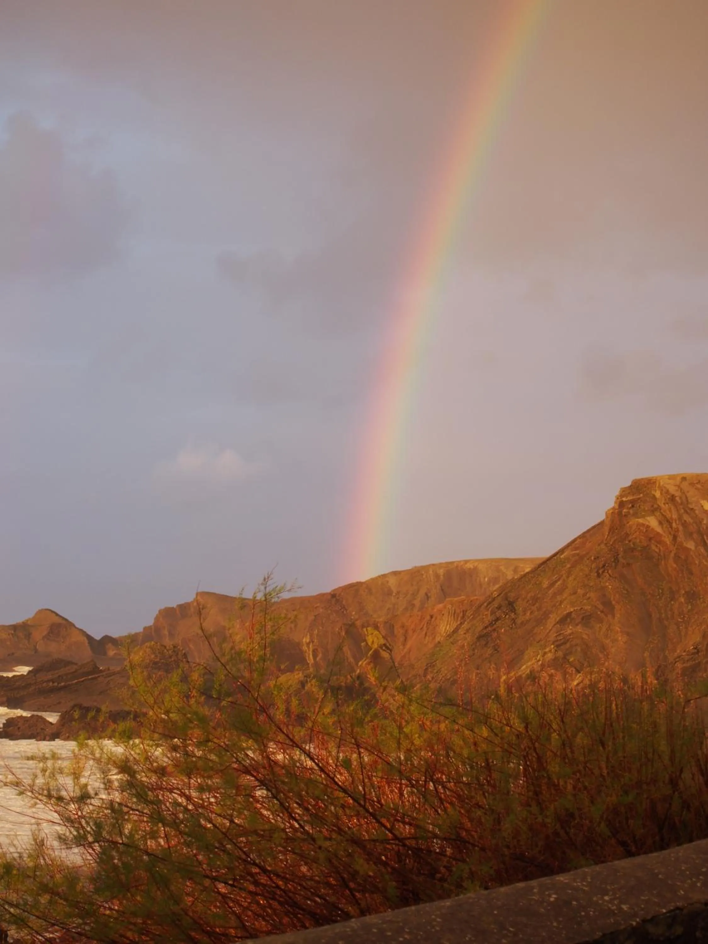 View (from property/room) in Hartland Quay Hotel