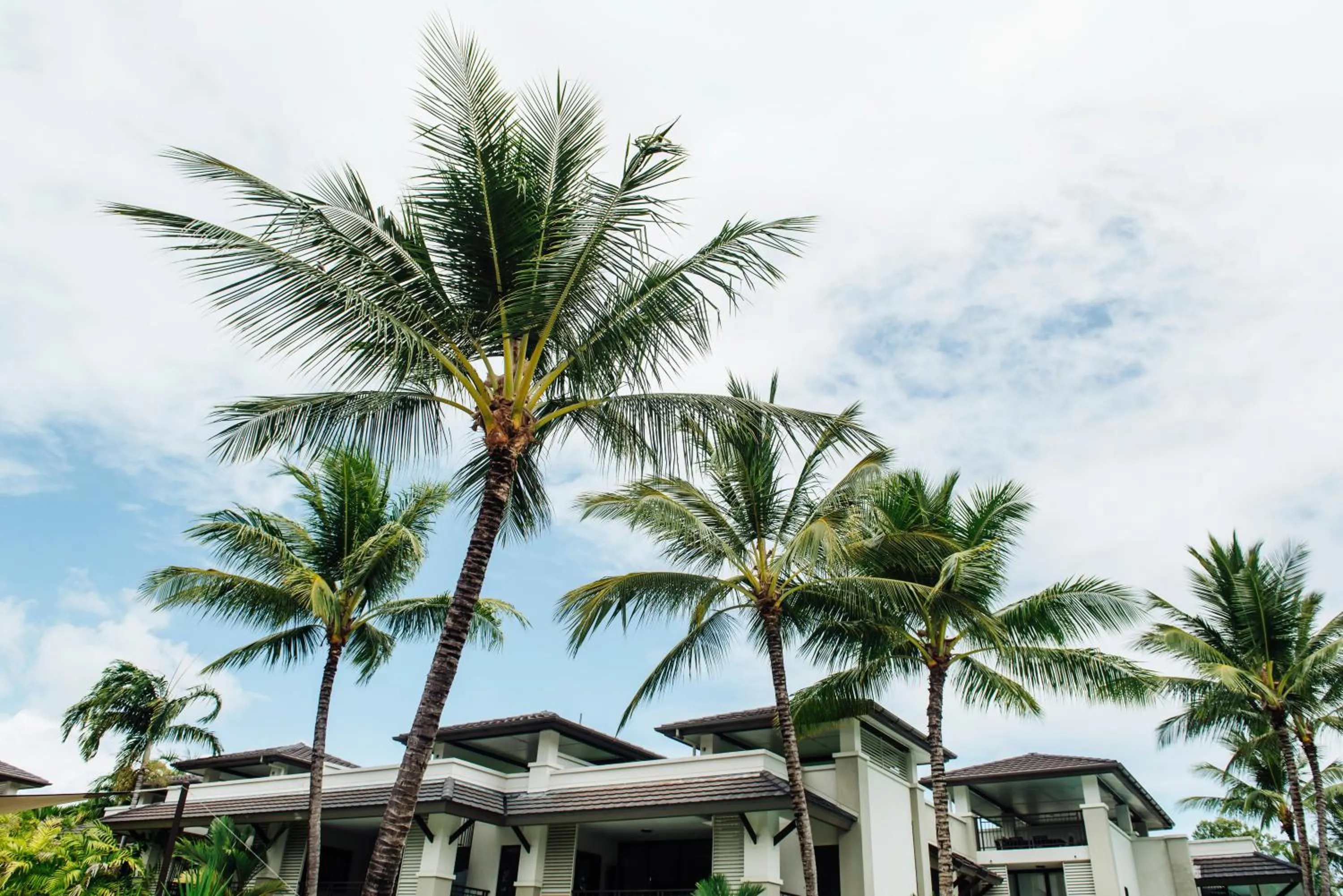 Facade/entrance in Pullman Port Douglas Sea Temple Resort and Spa