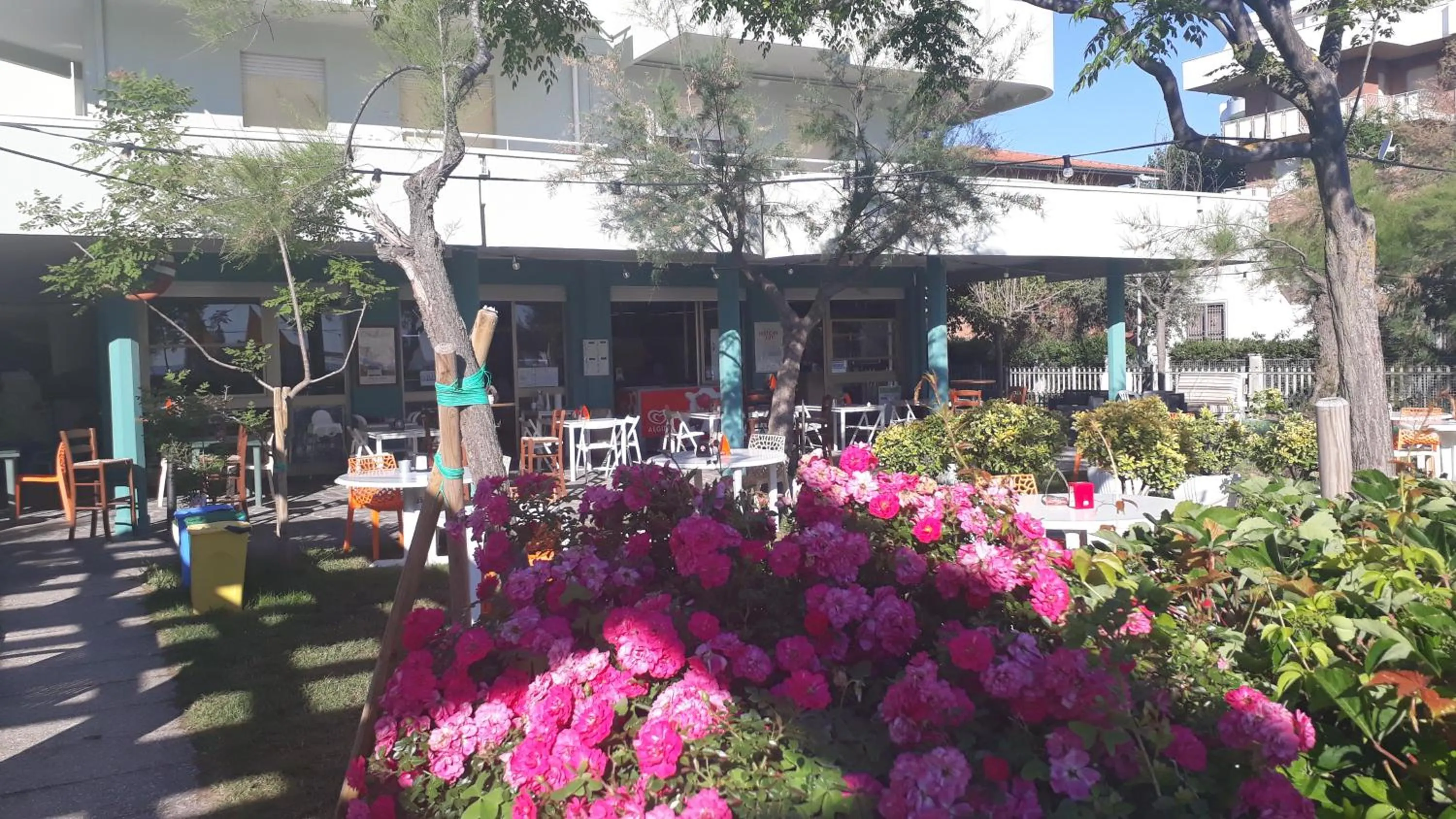 Restaurant/places to eat in Hotel Residenza Giardino