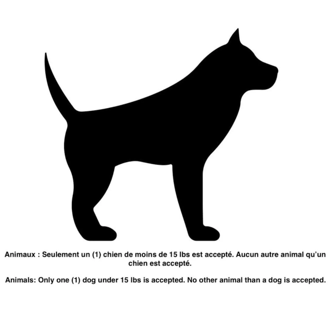 Pets in INITIAL - HORIZON - Chutes-Montmorency