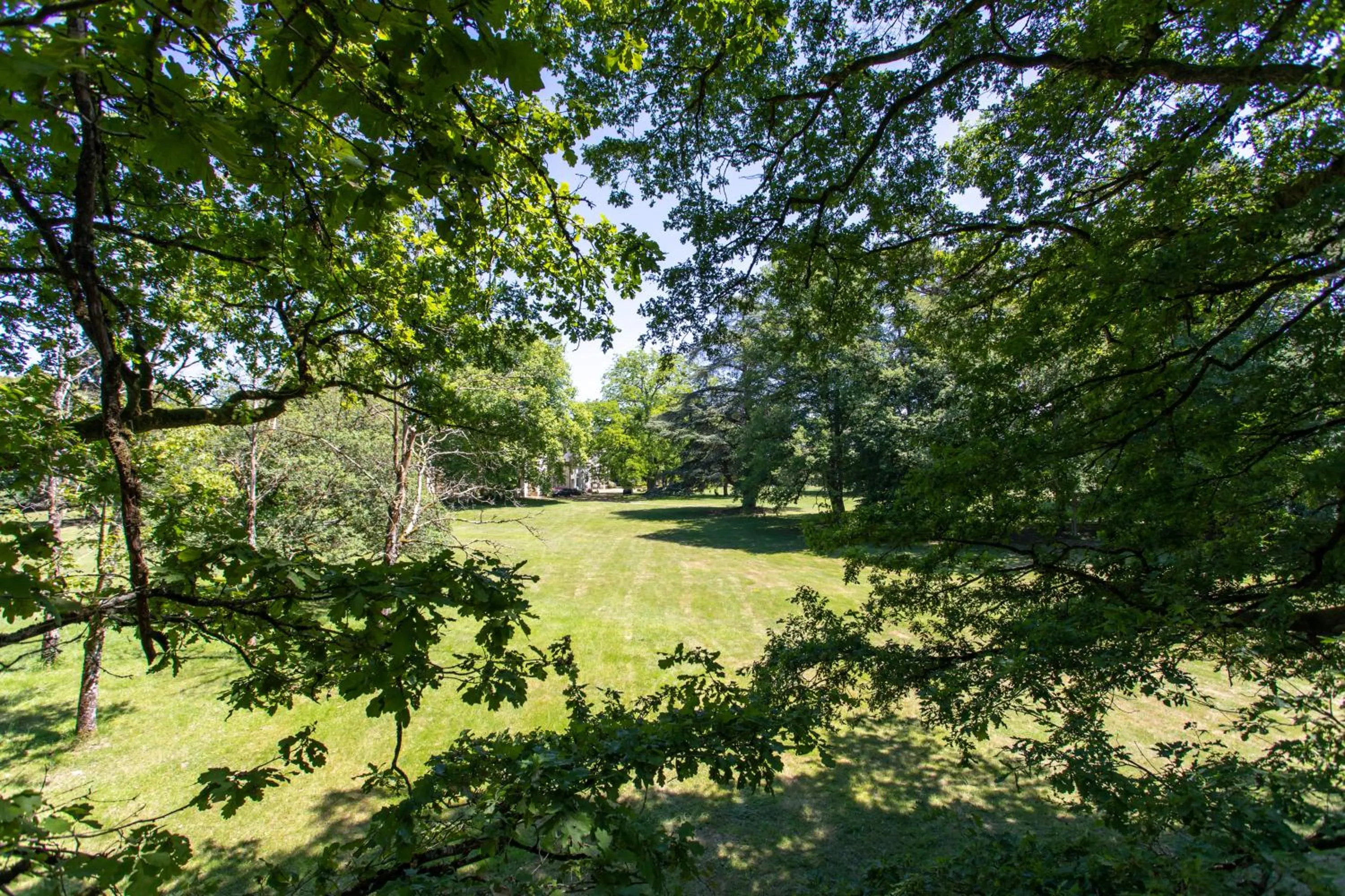 Garden view in Château De Razay