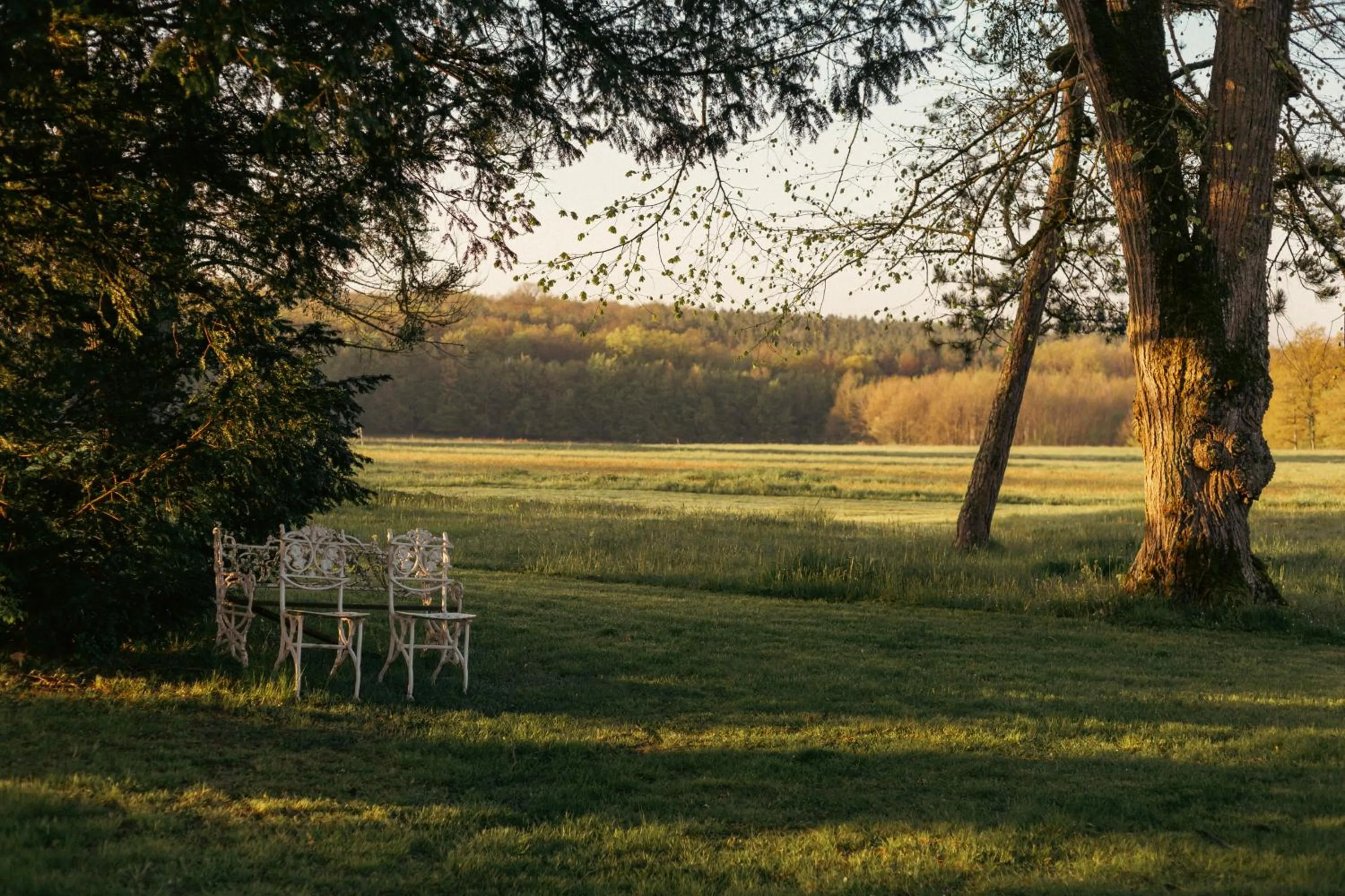 Natural landscape in Château De Razay