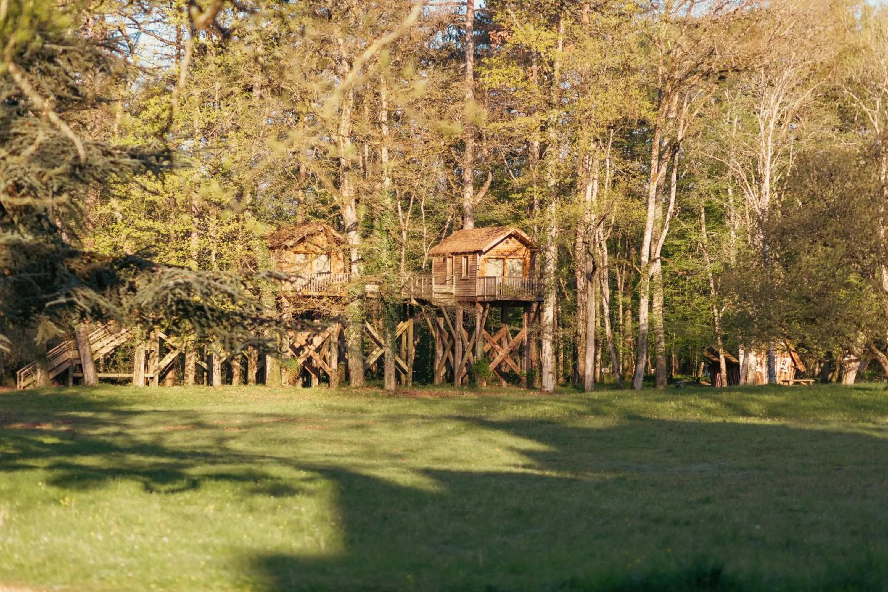 Garden view in Château De Razay