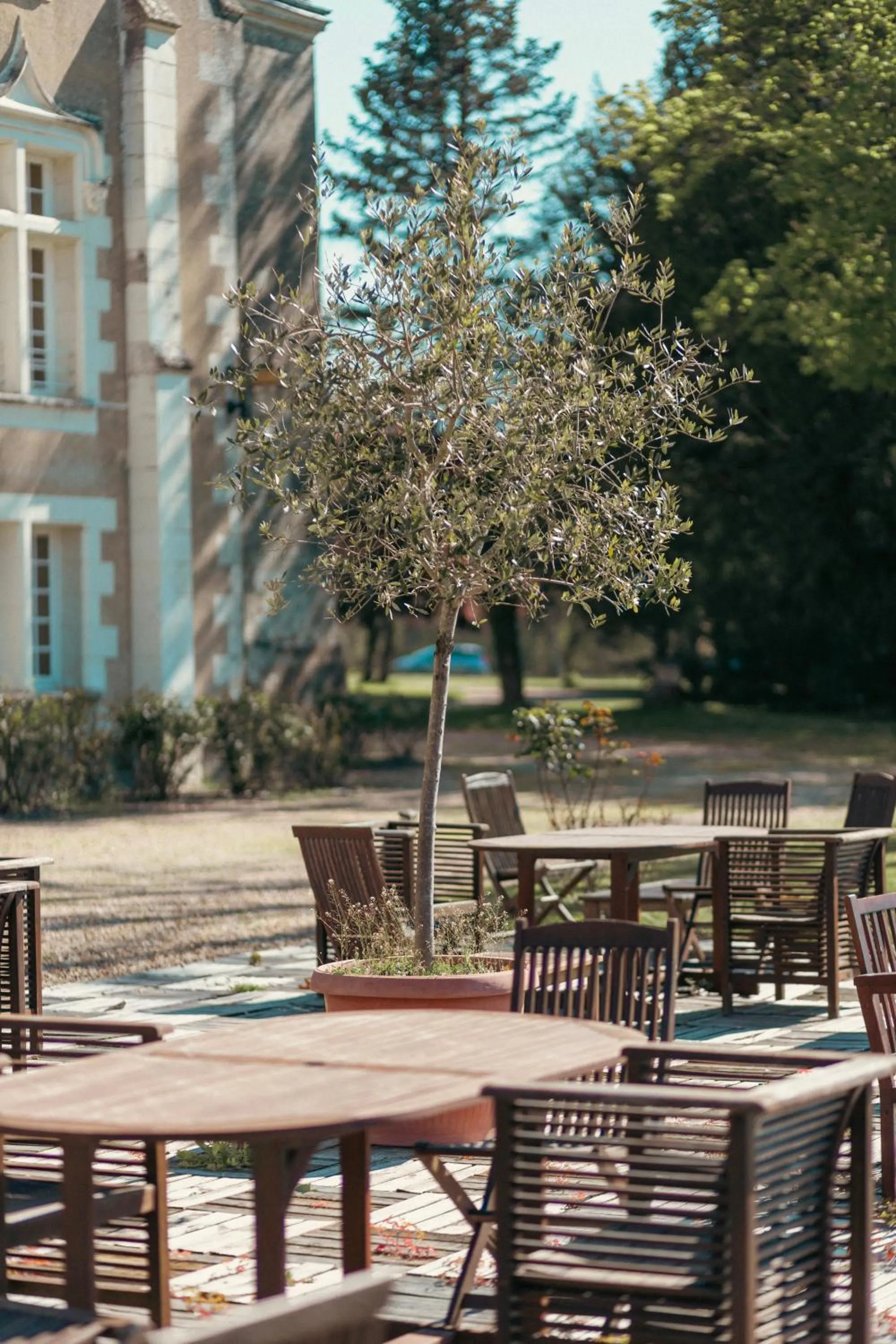 Balcony/Terrace in Château De Razay