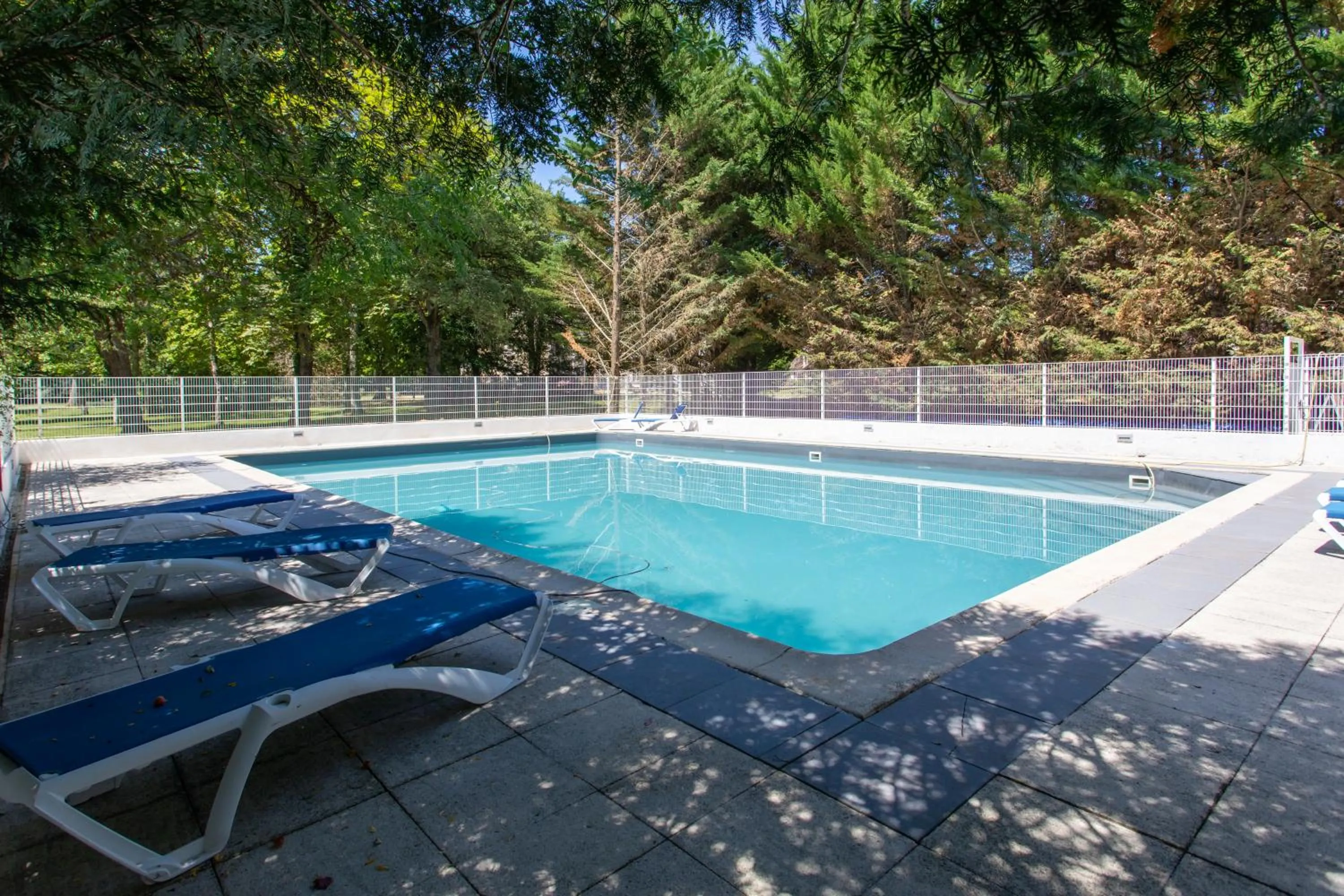 Swimming pool in Château De Razay