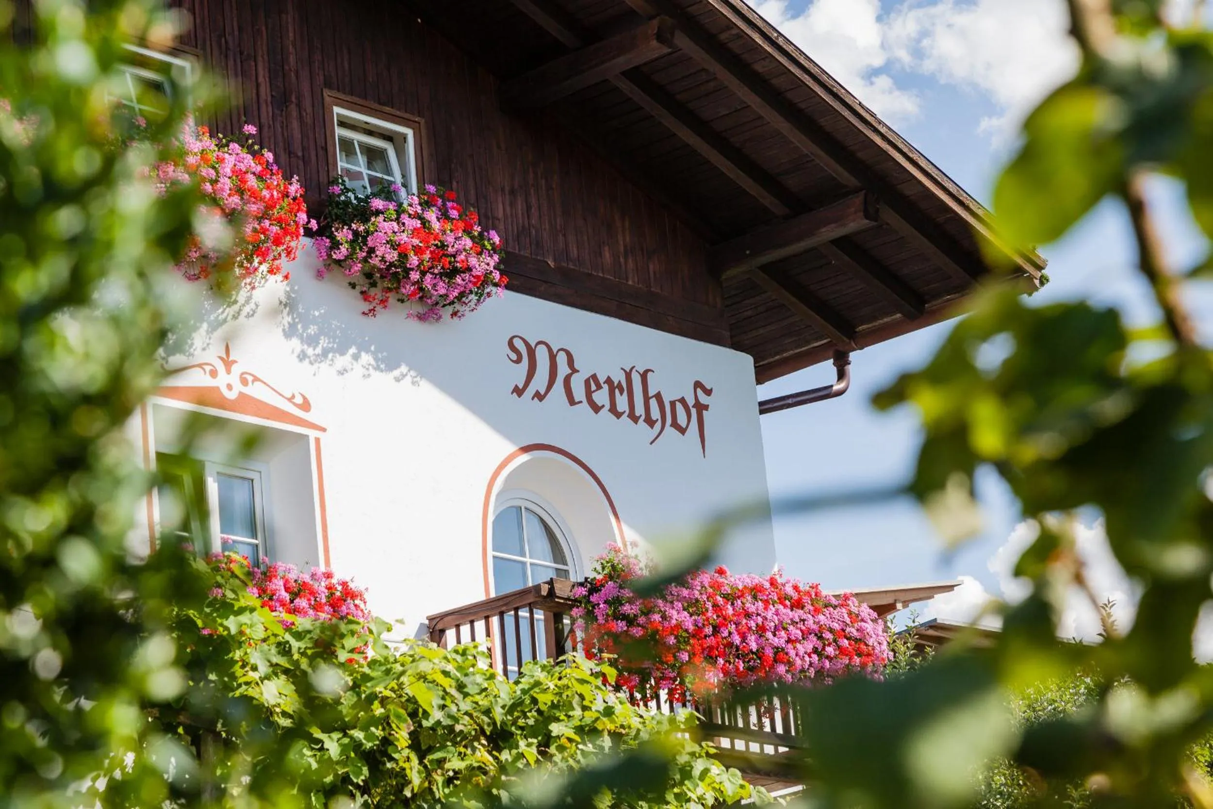 Merlhof