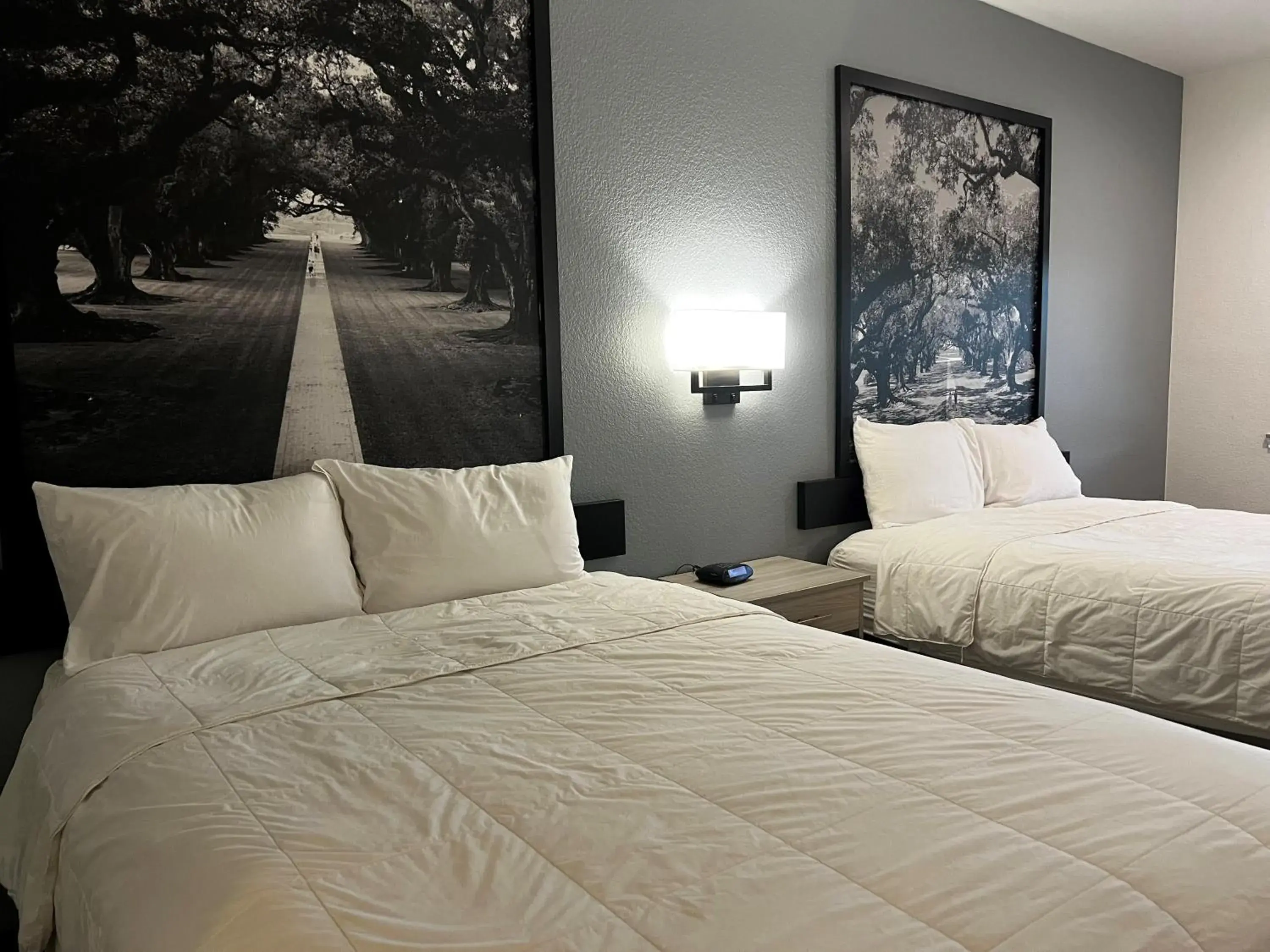 Bed in Super 8 by Wyndham Rosenberg TX Bed in Super 8 by Wyndham Rosenberg TX