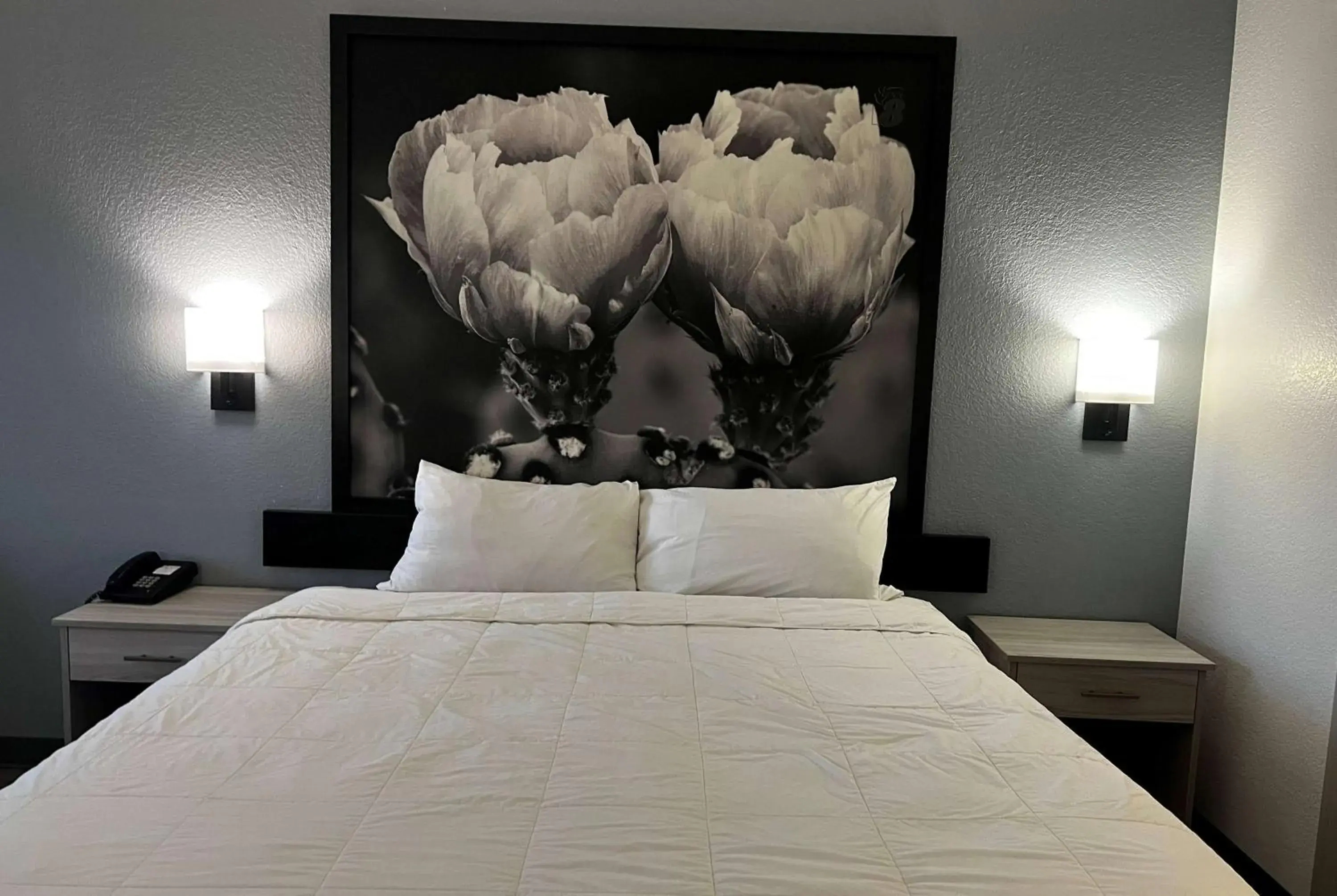 Photo of the whole room, Bed in Super 8 by Wyndham Rosenberg TX Photo of the whole room, Bed in Super 8 by Wyndham Rosenberg TX