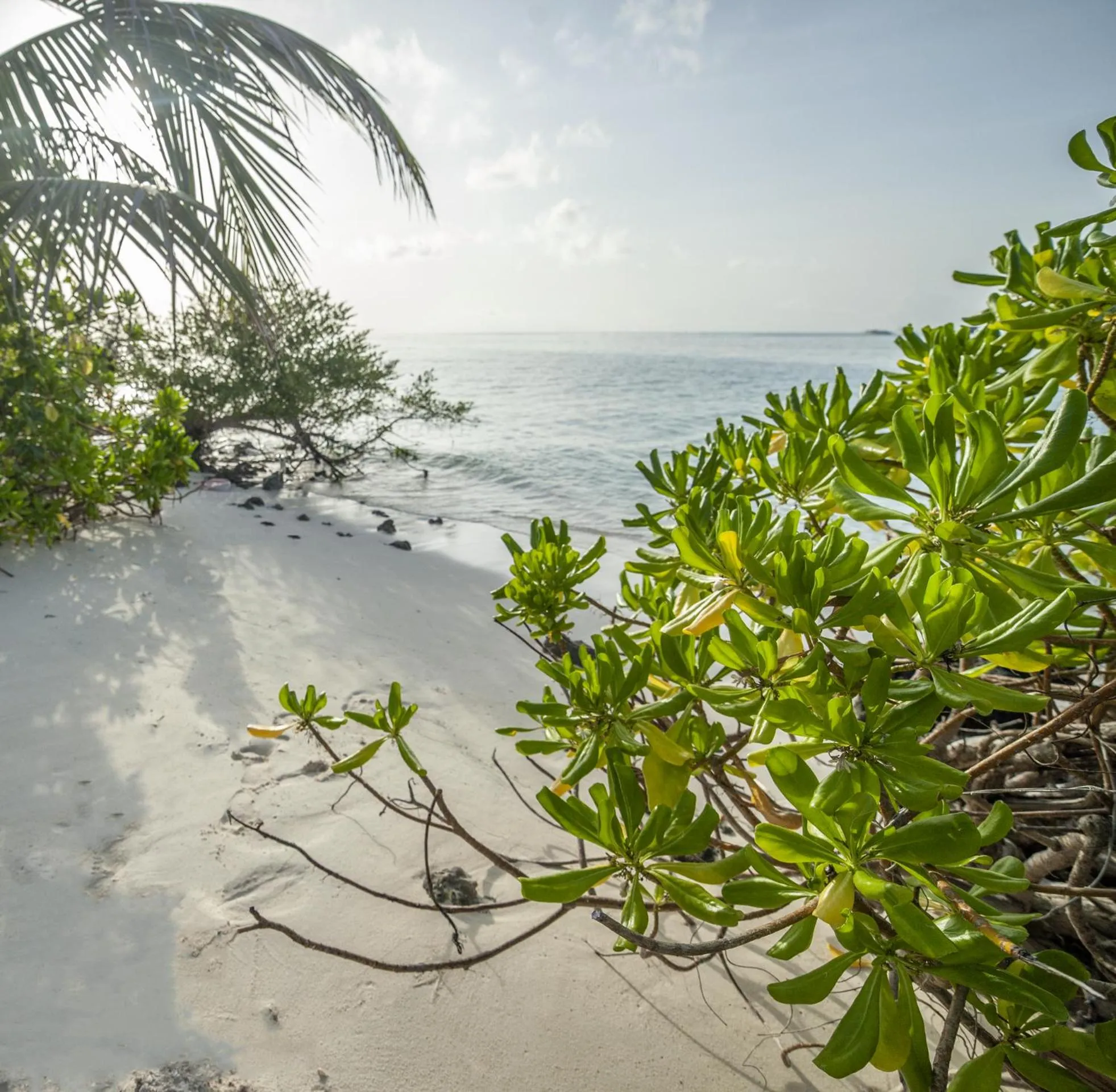 Beach in Portia Hotel & Spa