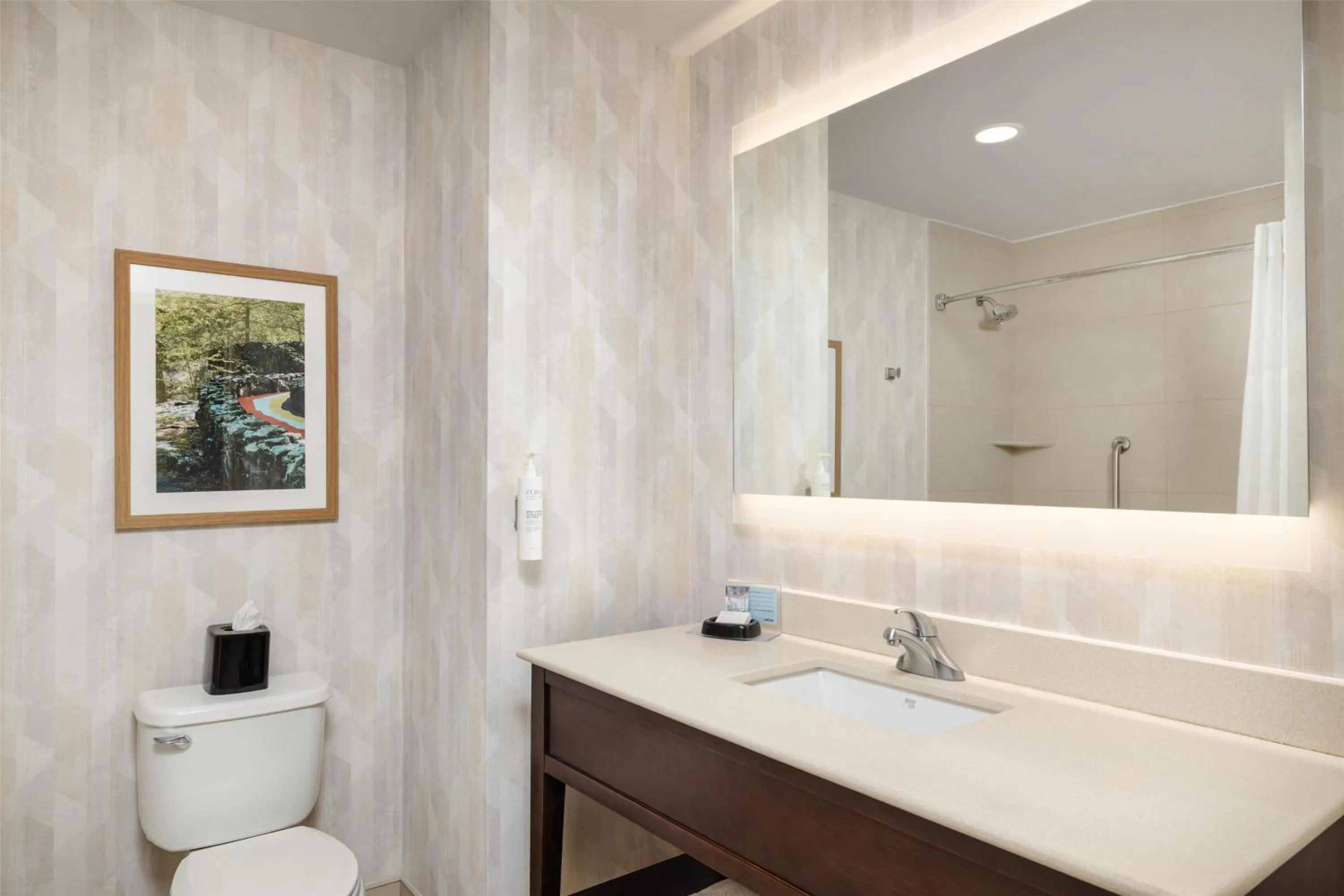 Bathroom in Hampton Inn Chattanooga West/Lookout Mountain