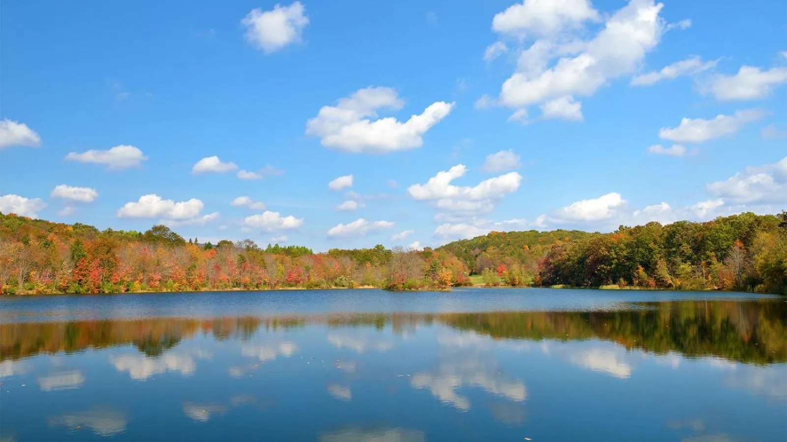 Natural landscape in Motel 6-Bloomsburg, PA