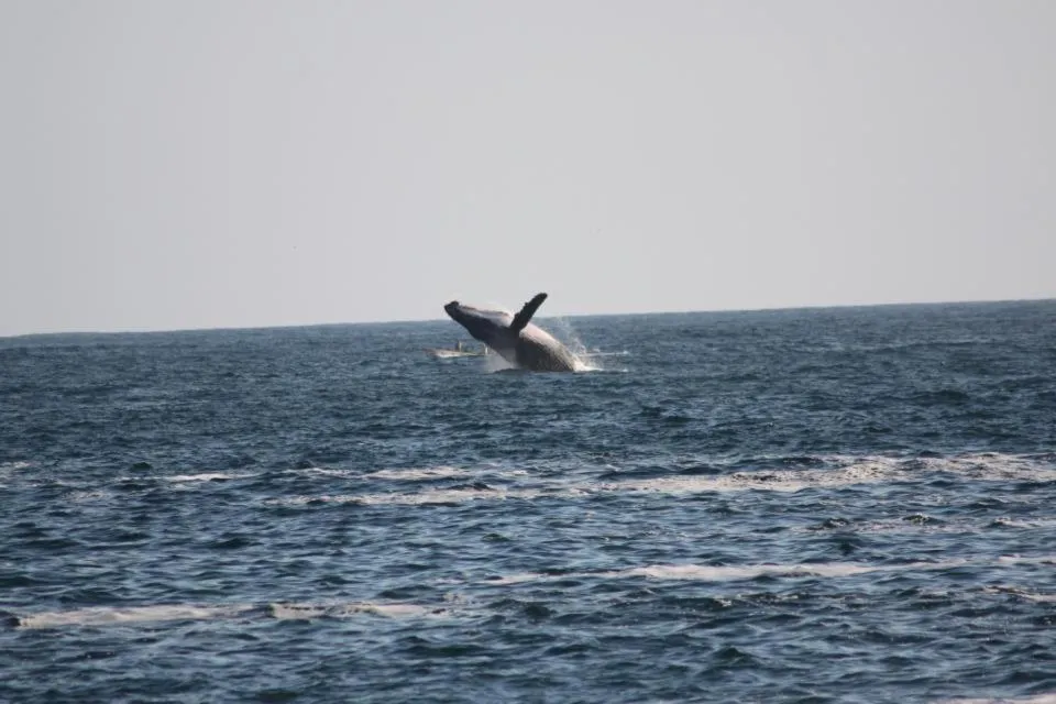 View (from property/room) in Hotel Bahía de la Luna