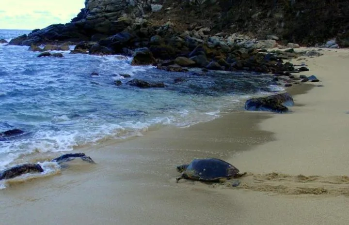 Beach in Hotel Bahía de la Luna