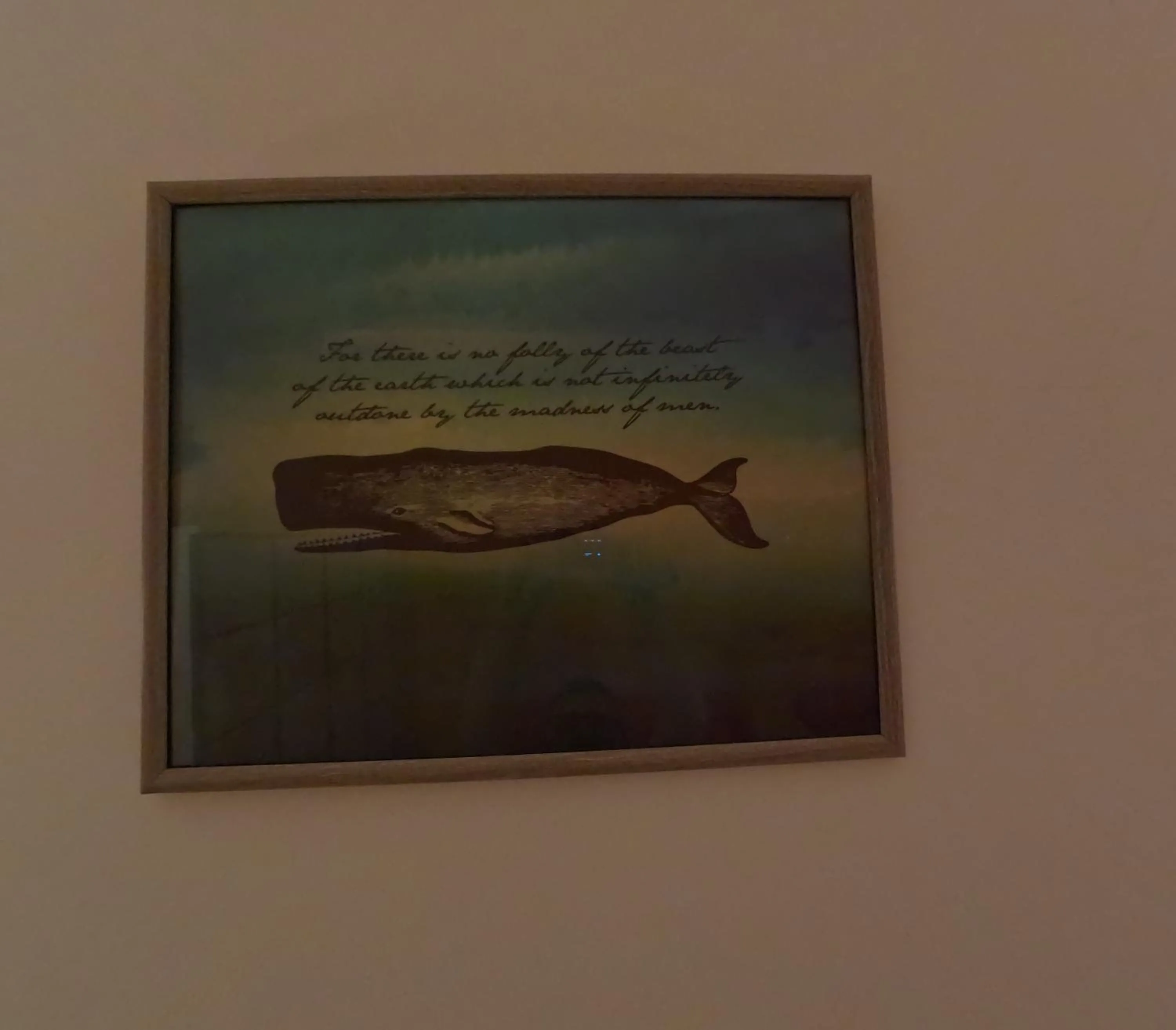 The Whale B&B