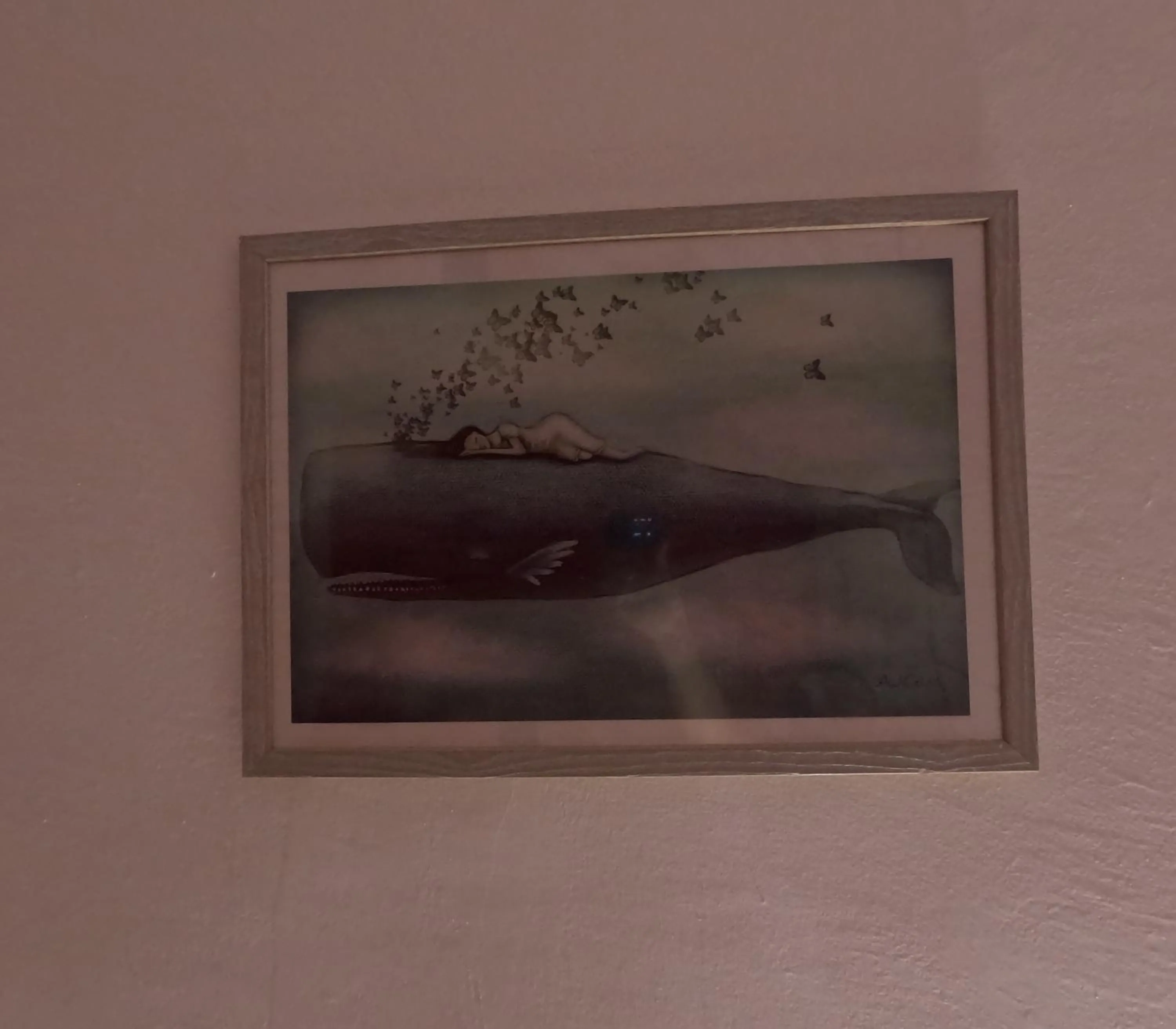 The Whale B&B