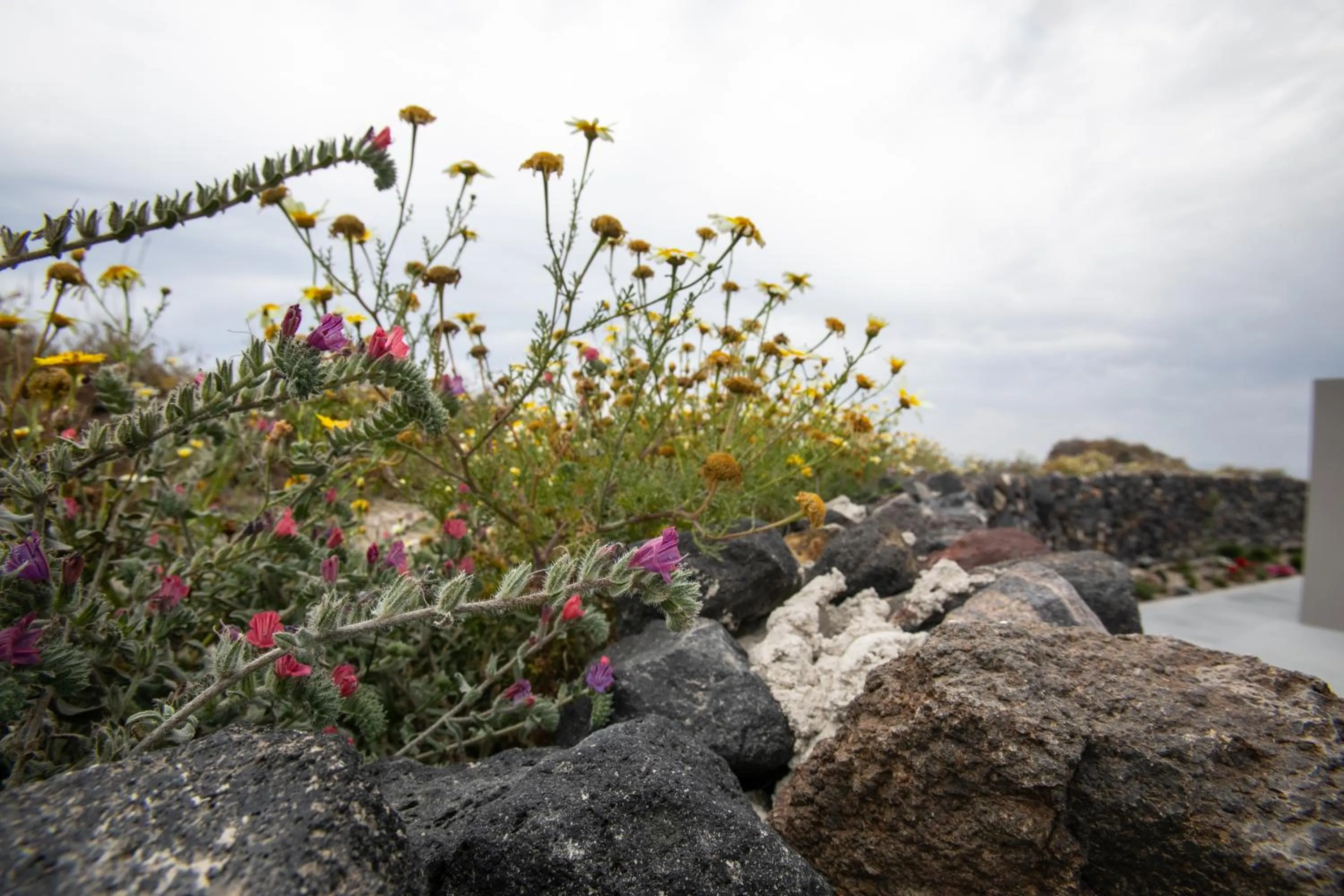 Natural landscape in Melidonia Suites