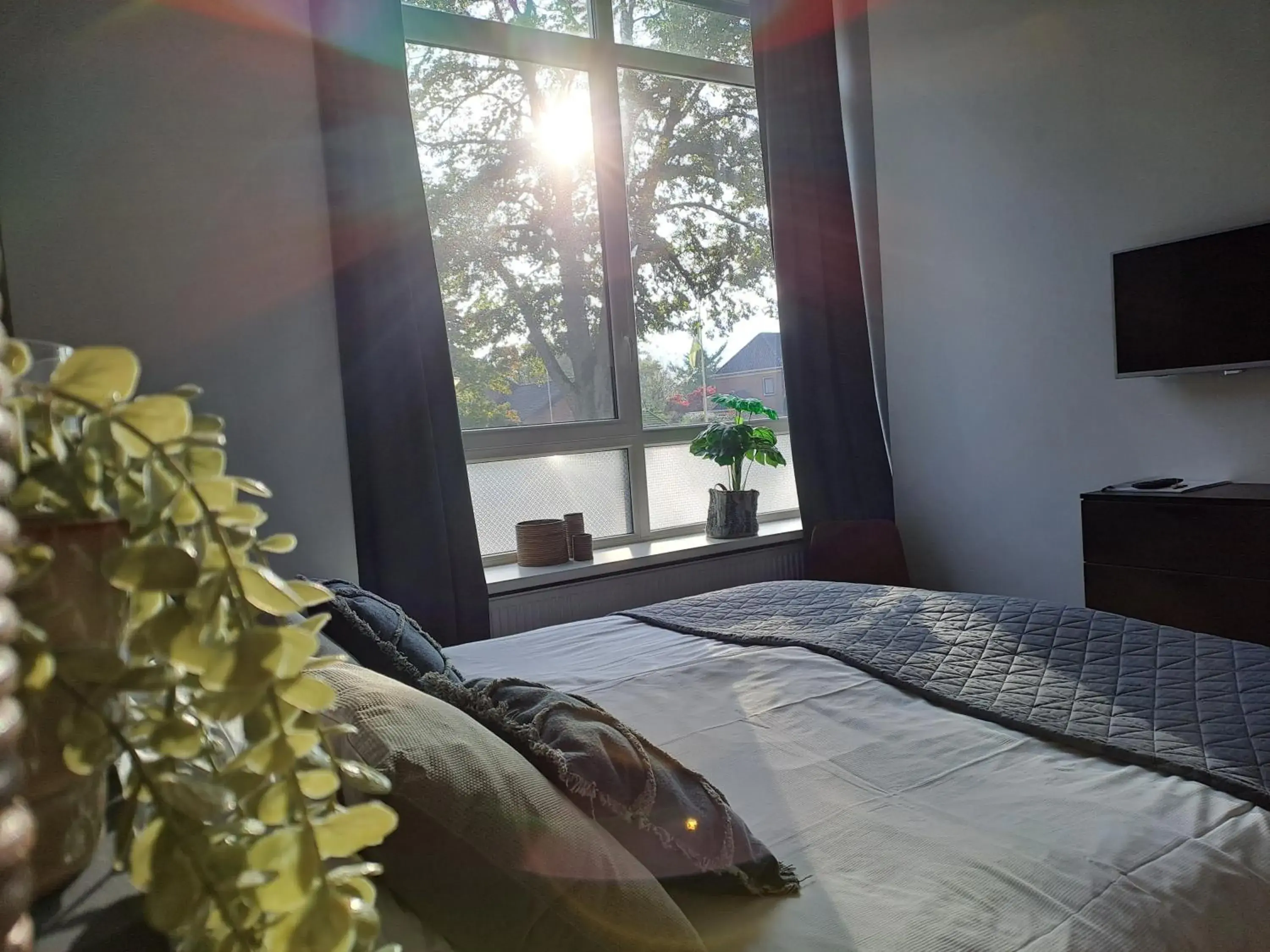 Deluxe Room - single occupancy in B&B de Wilhelminaschool Deluxe Room - single occupancy in B&B de Wilhelminaschool