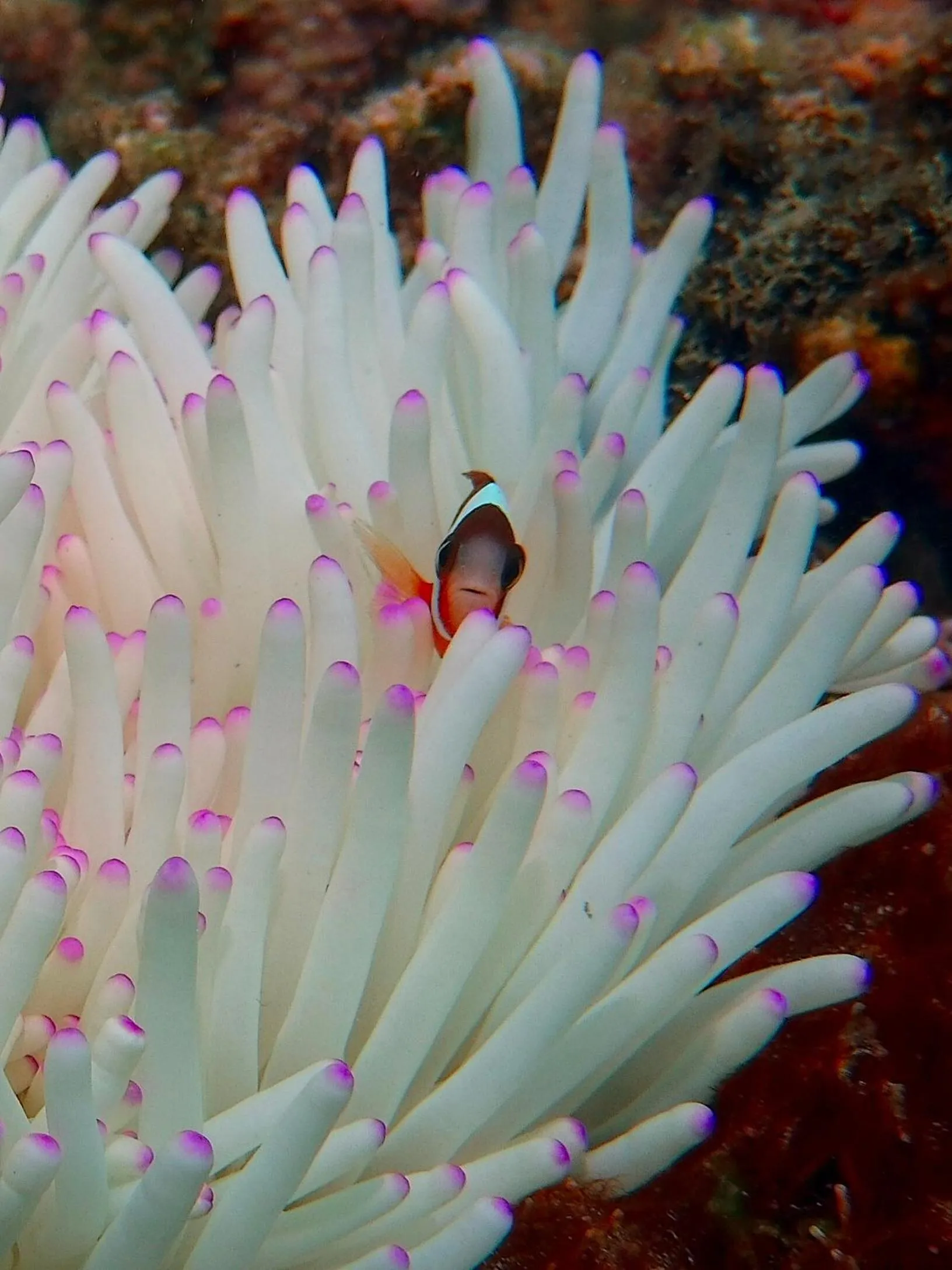 Other in Blue Lagoon Beach Resort