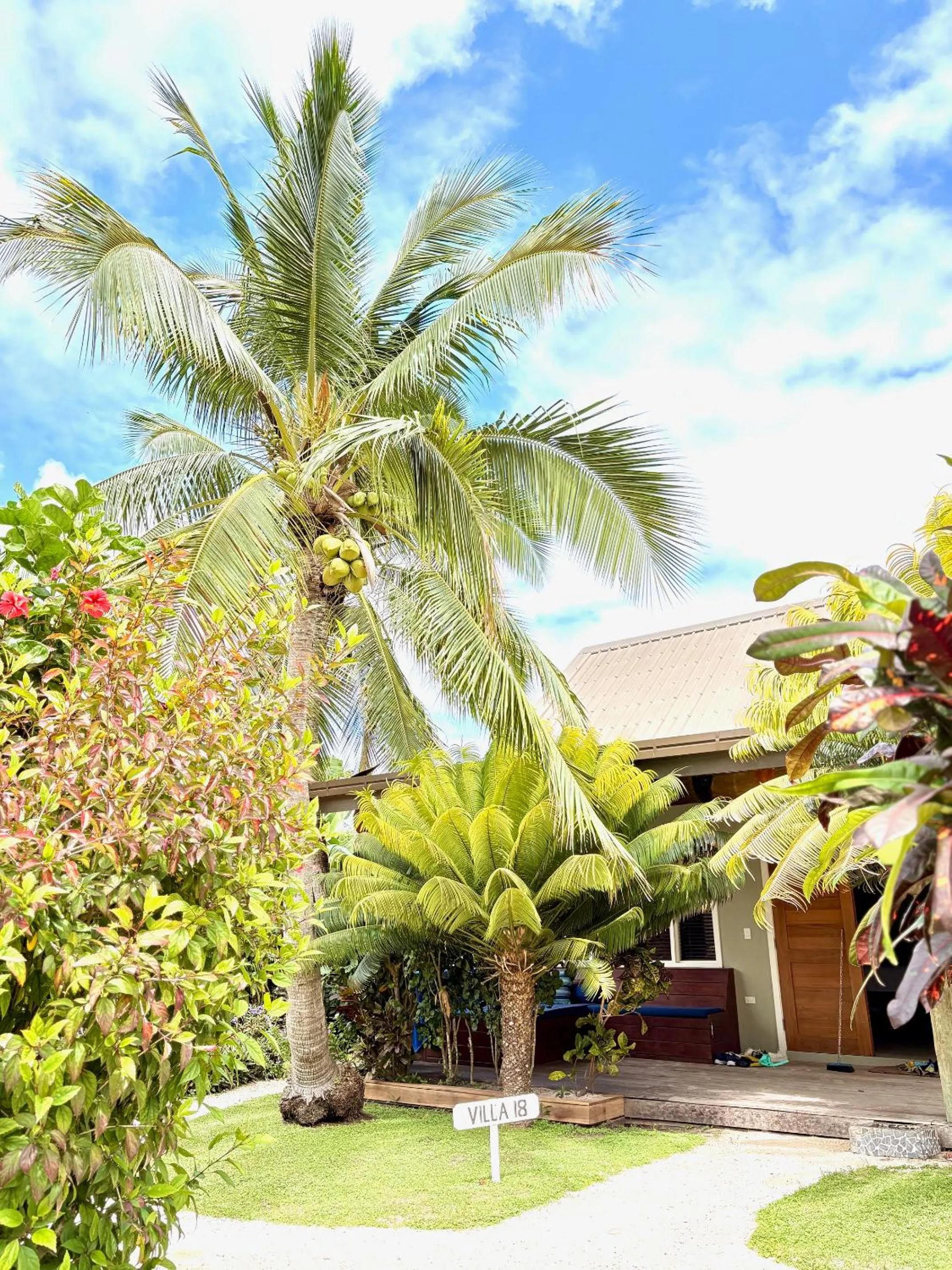 Garden in Blue Lagoon Beach Resort