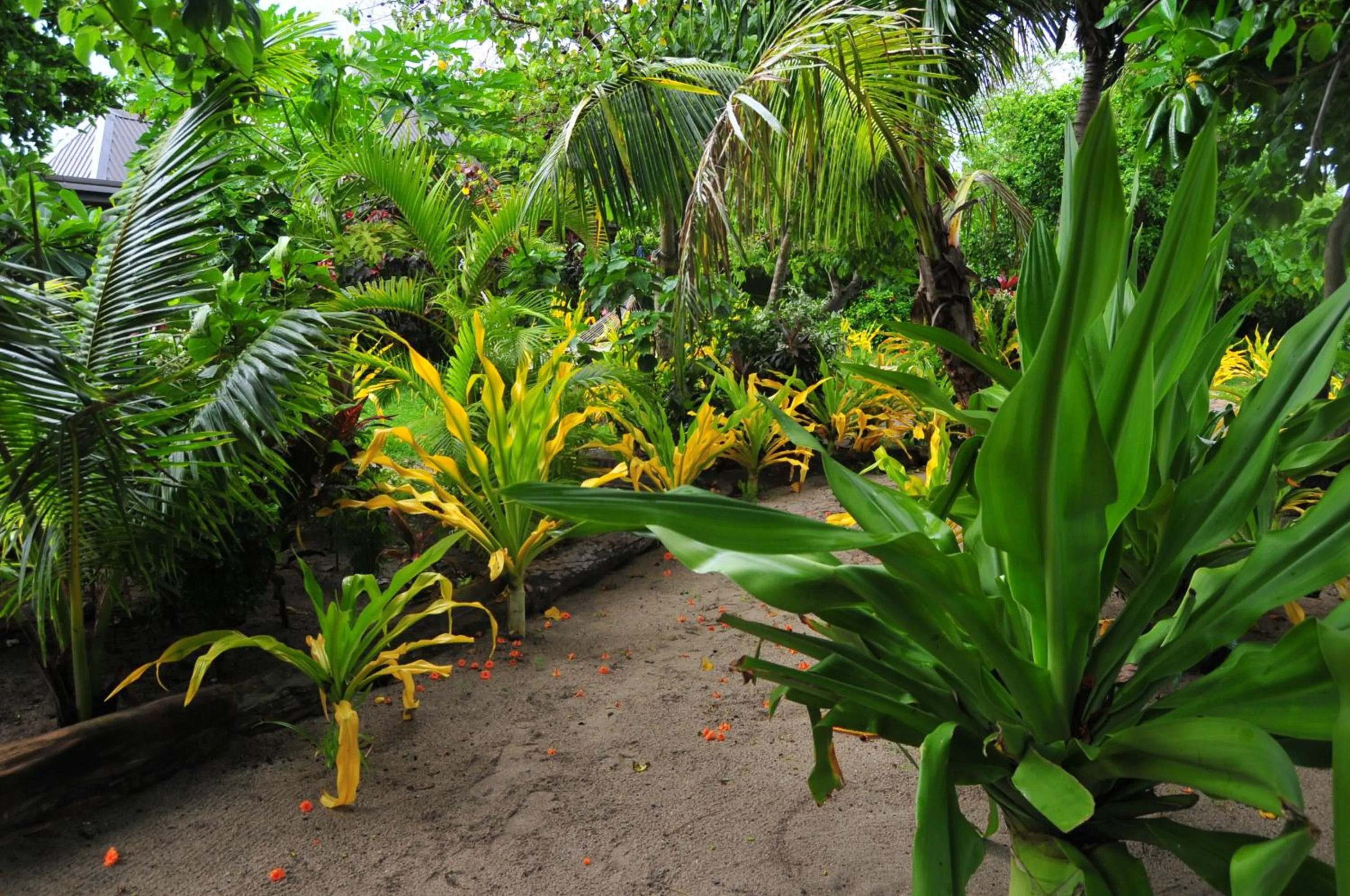 Garden in Blue Lagoon Beach Resort