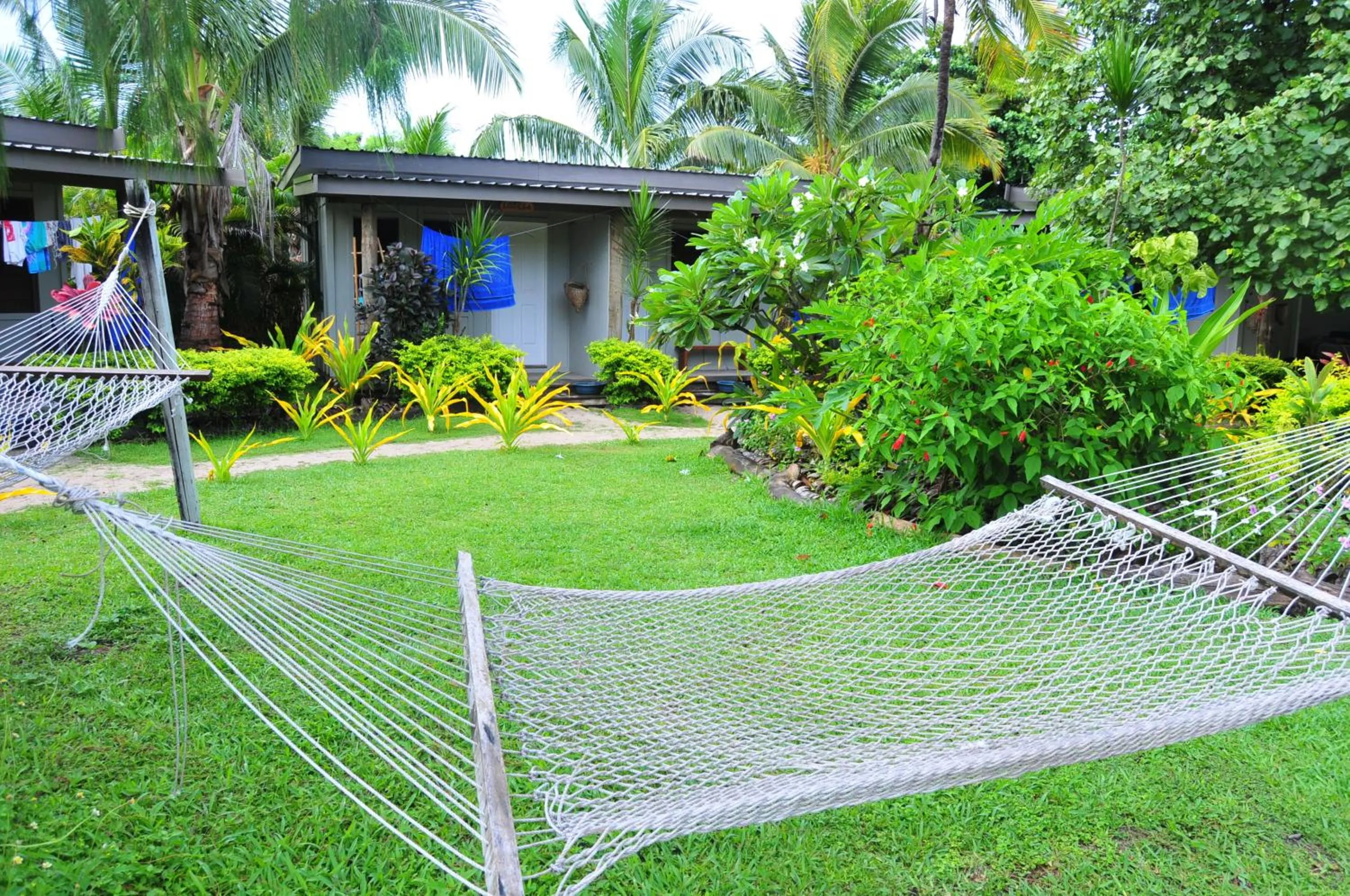 Garden in Blue Lagoon Beach Resort