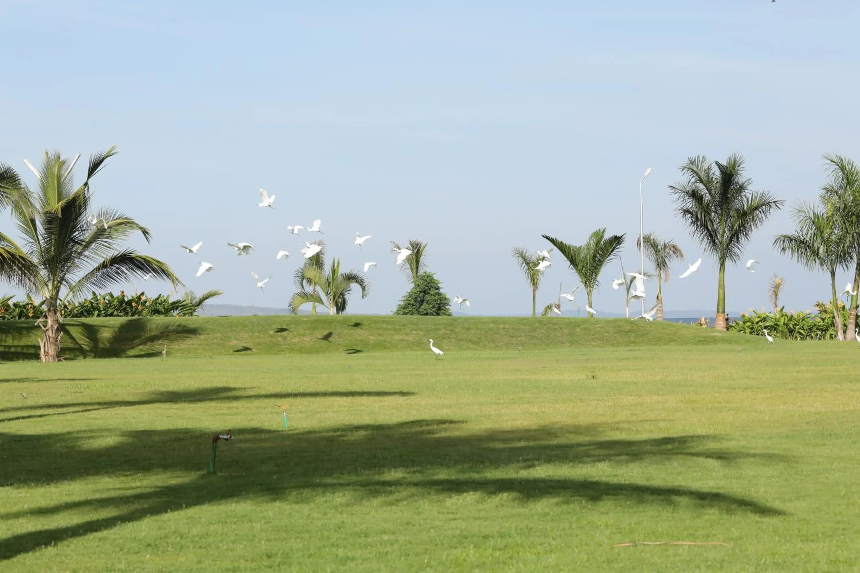 Malaika Beach Resort