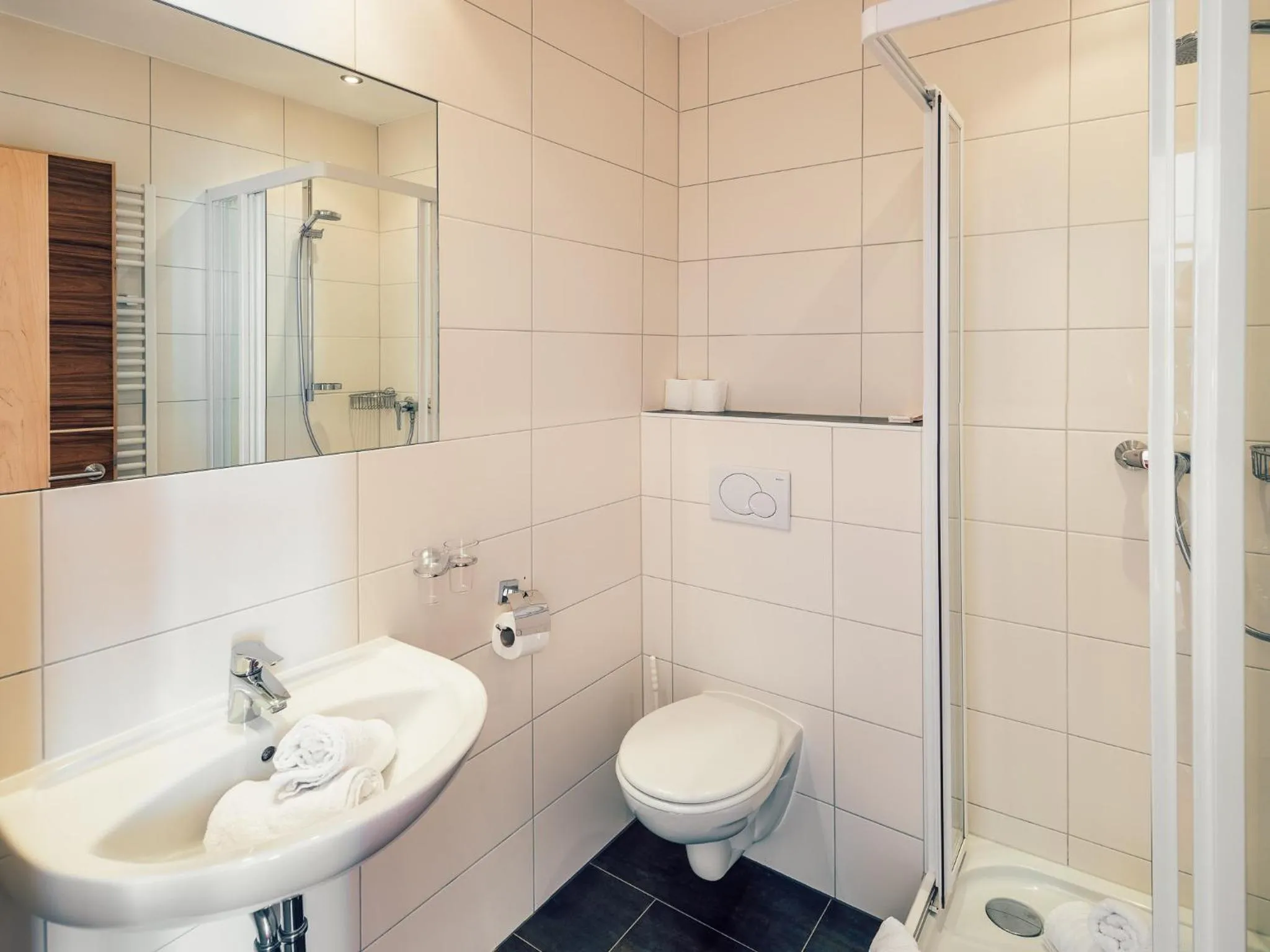 Bathroom in Die Reblaus
