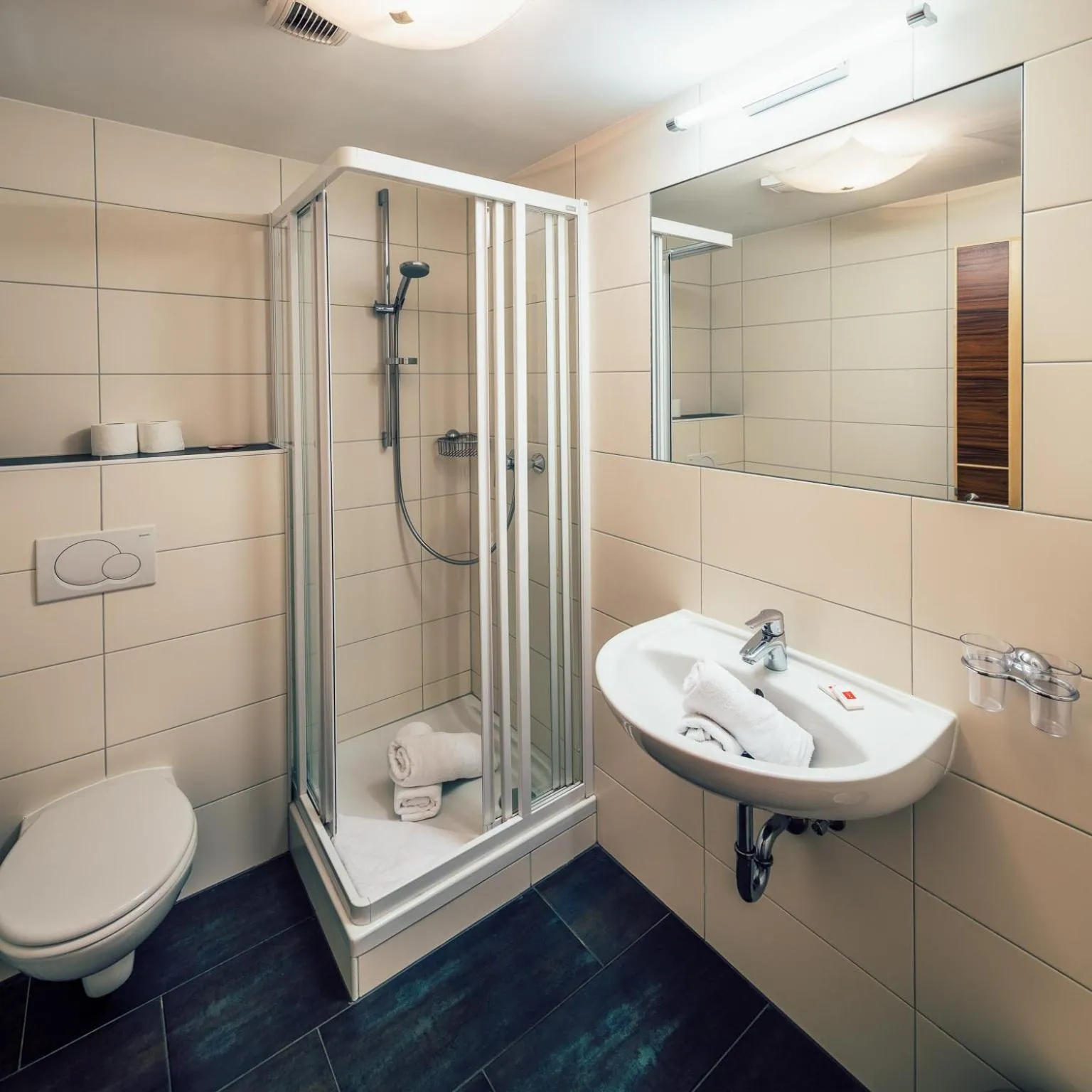 Bathroom in Die Reblaus