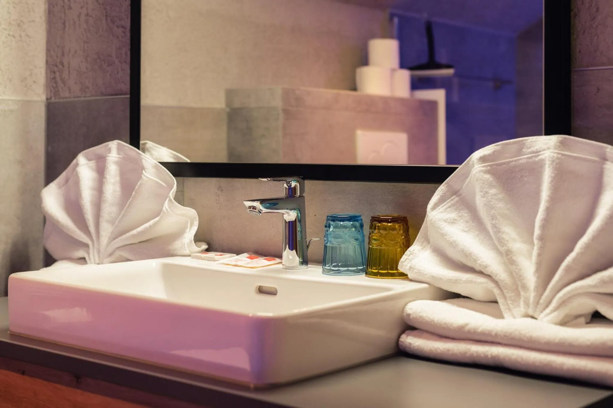 Bathroom in Die Reblaus