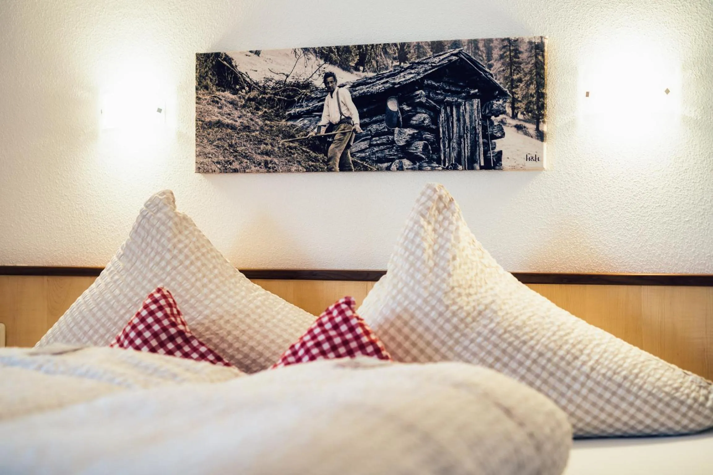 Bed in Die Reblaus