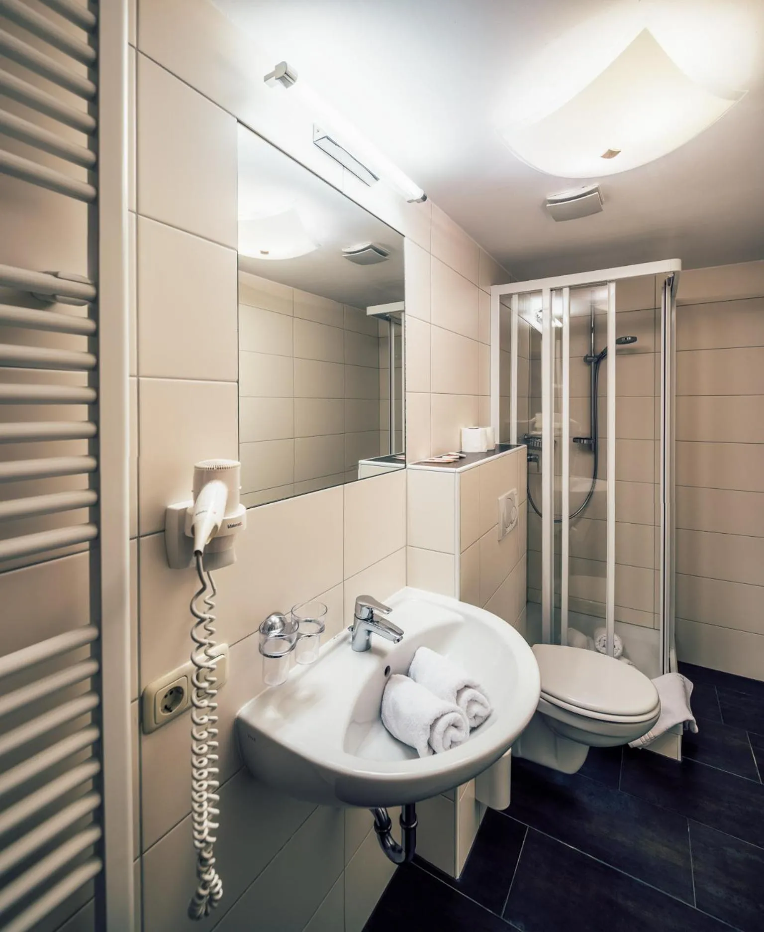 Bathroom in Die Reblaus
