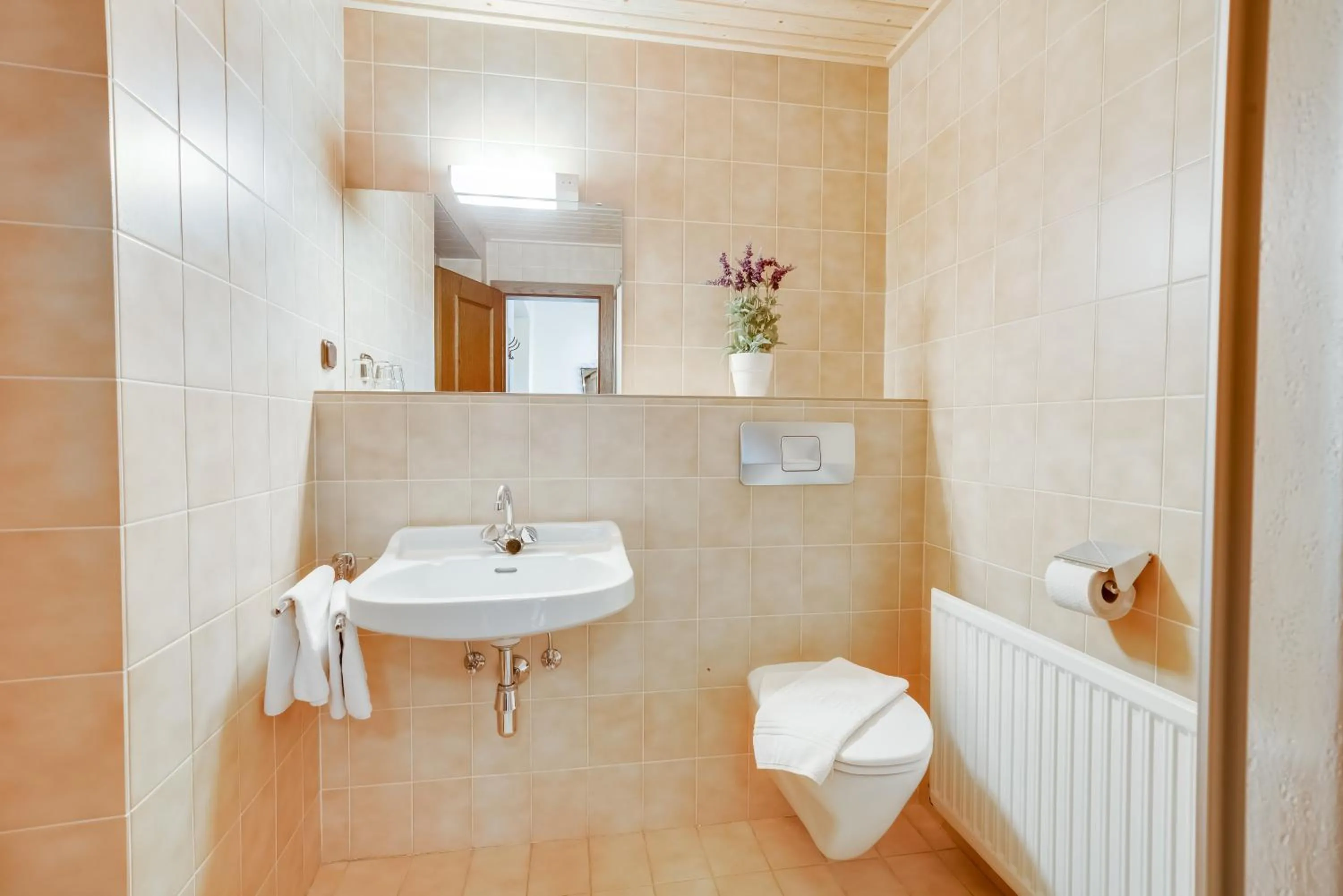 Bathroom in Hotel Himmelreich